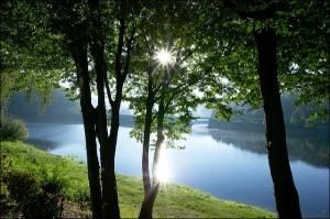 Omgeving