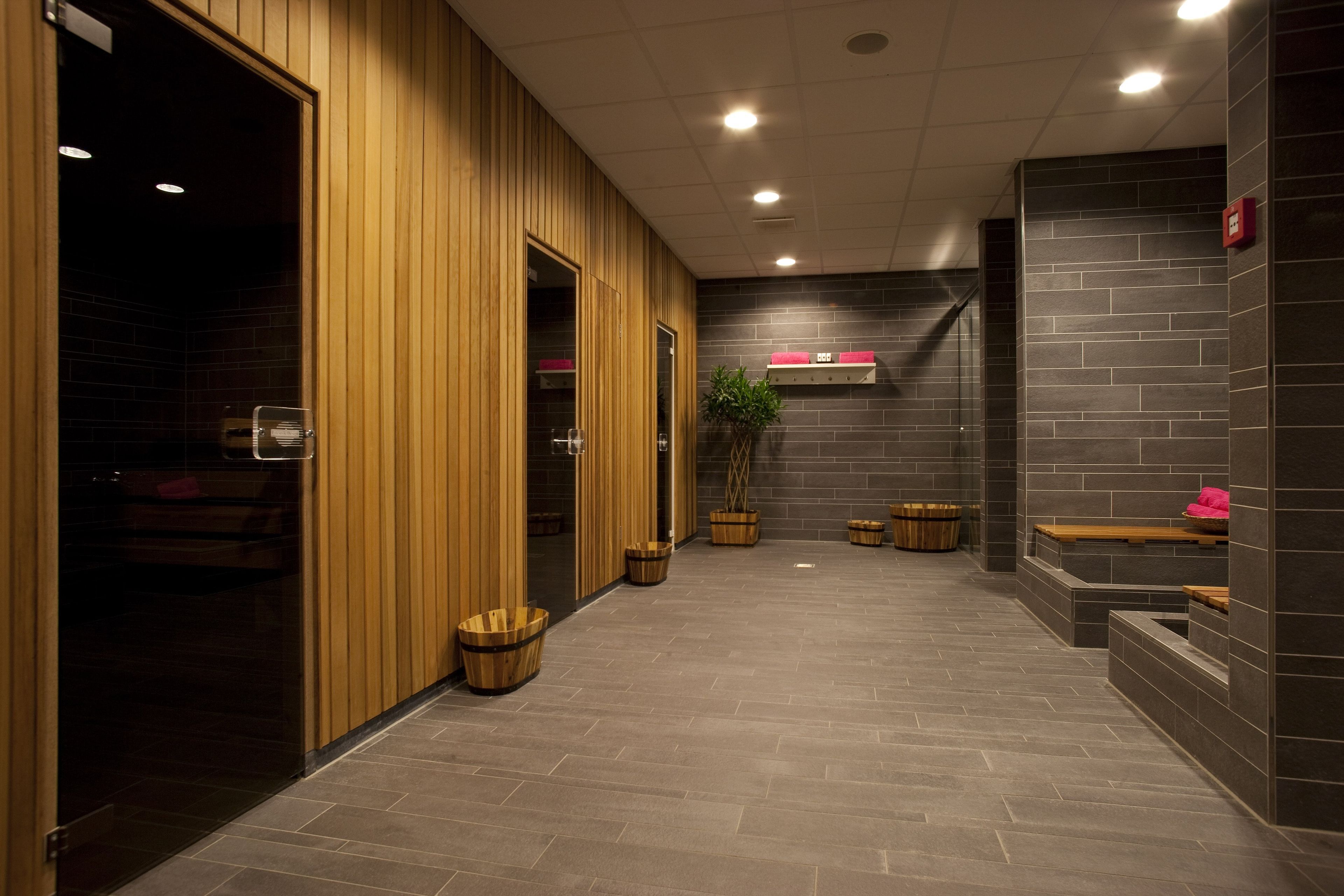 Wellness