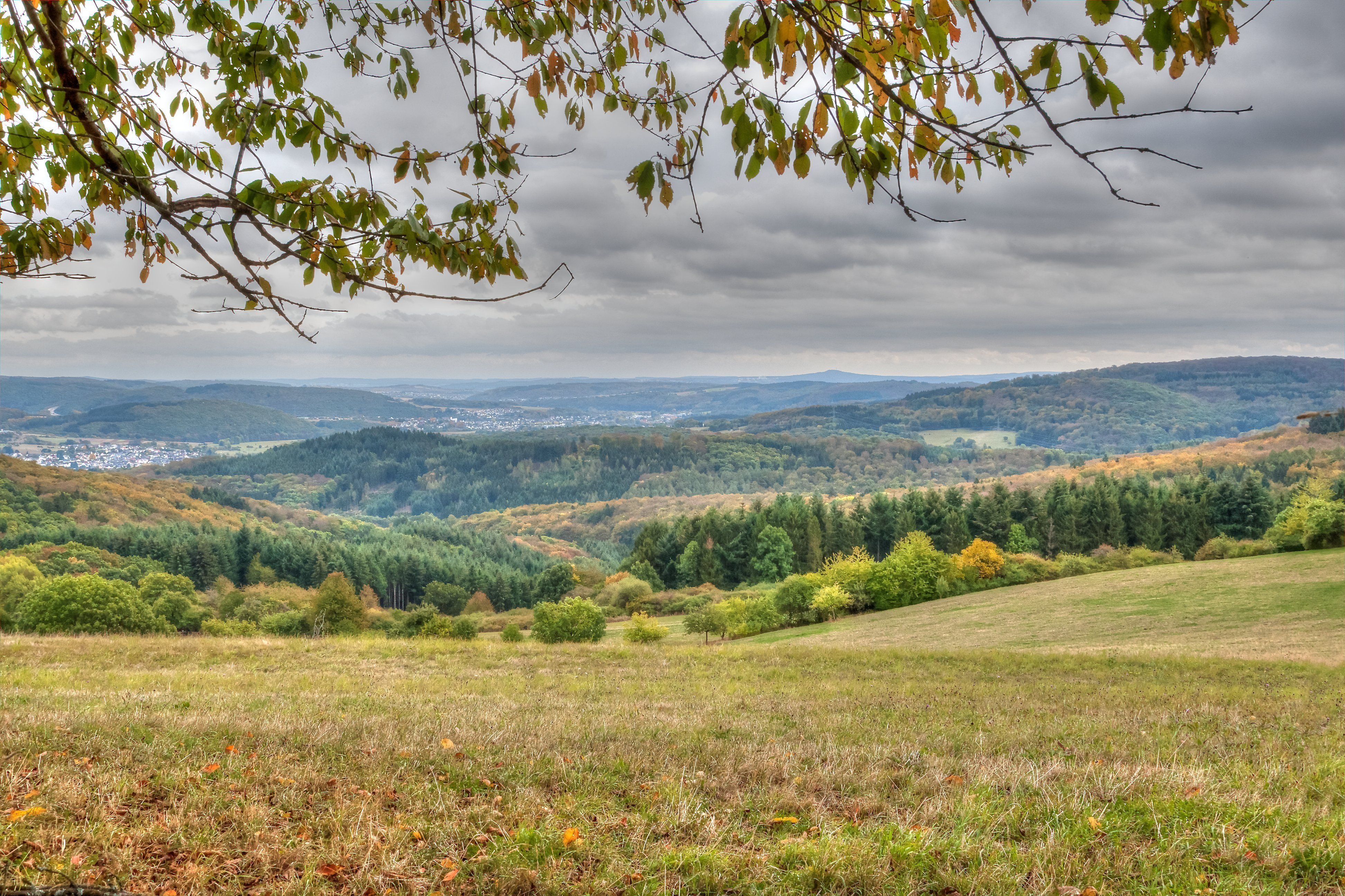 Omgeving