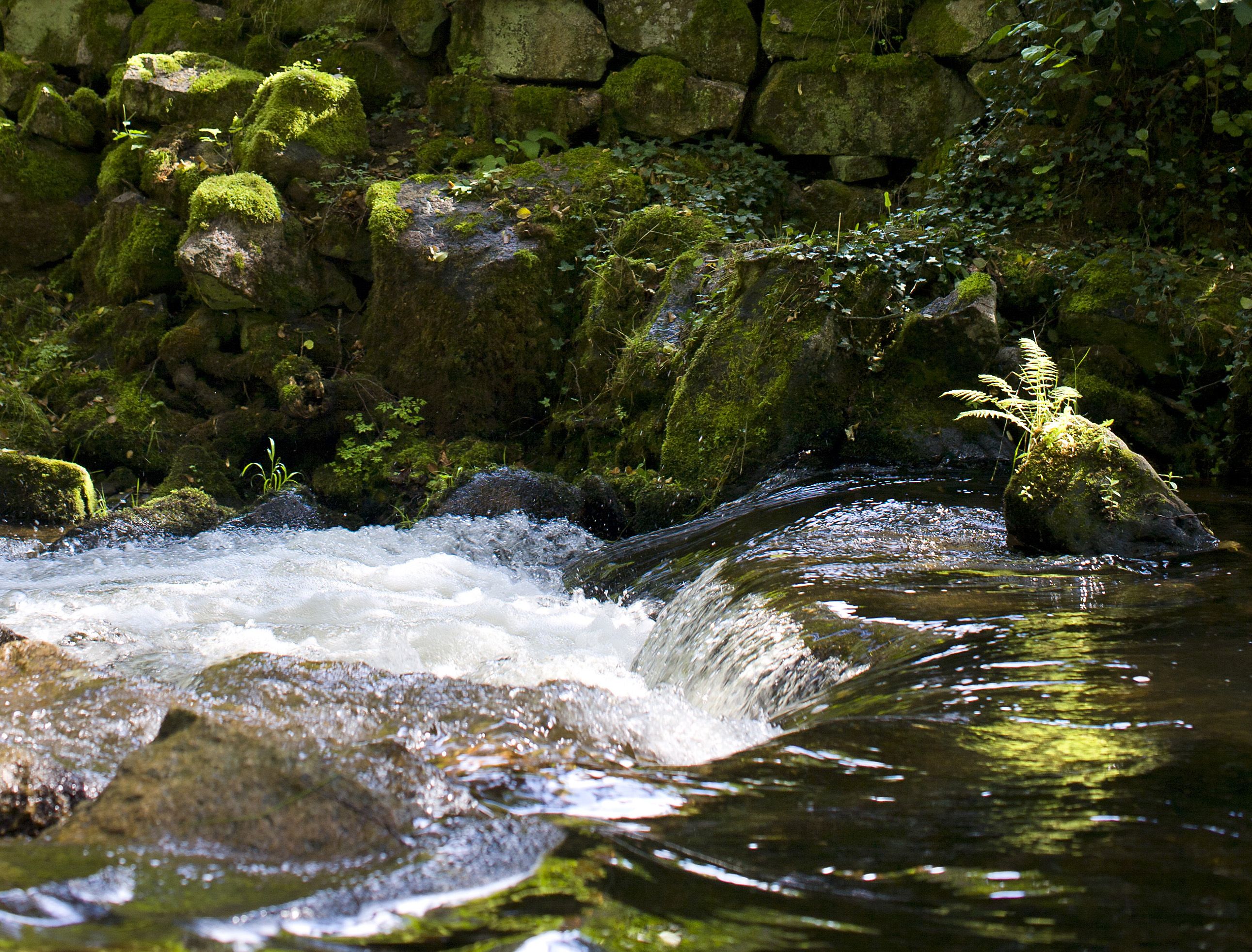 Omgeving