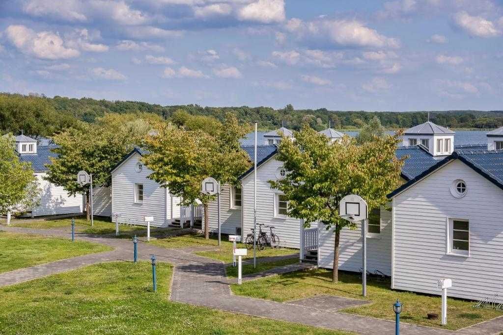 Omgeving