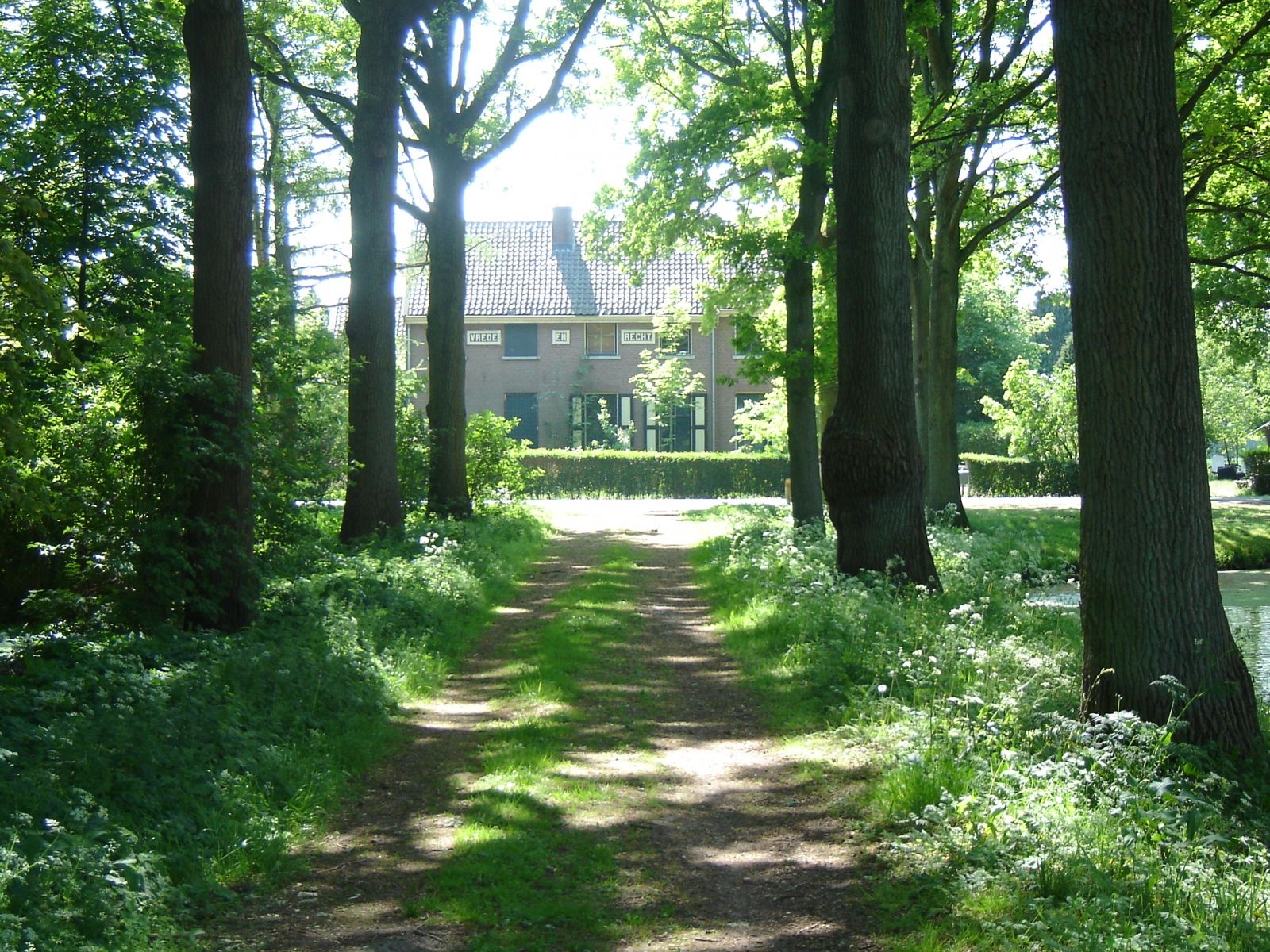 Omgeving