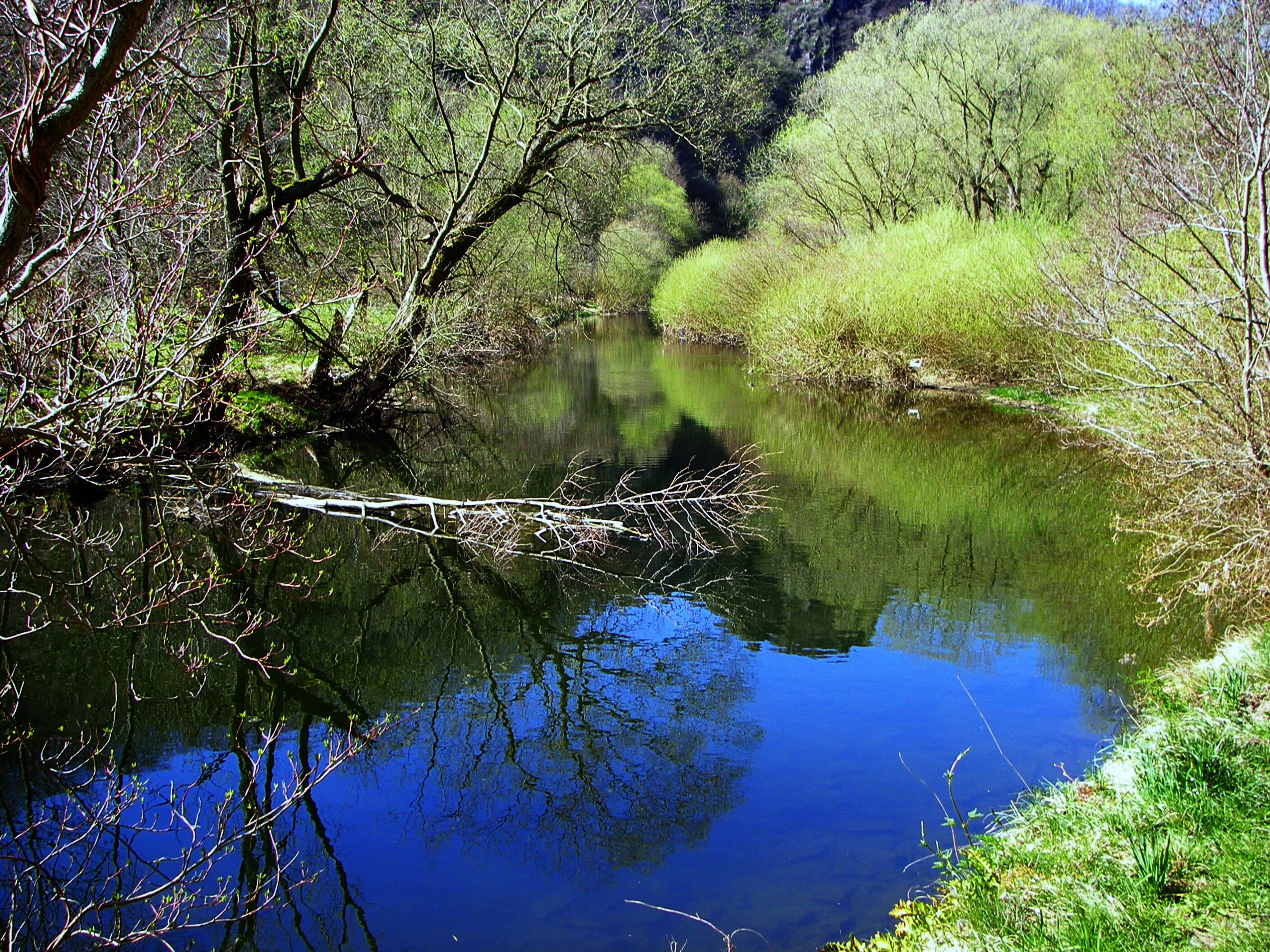 Omgeving