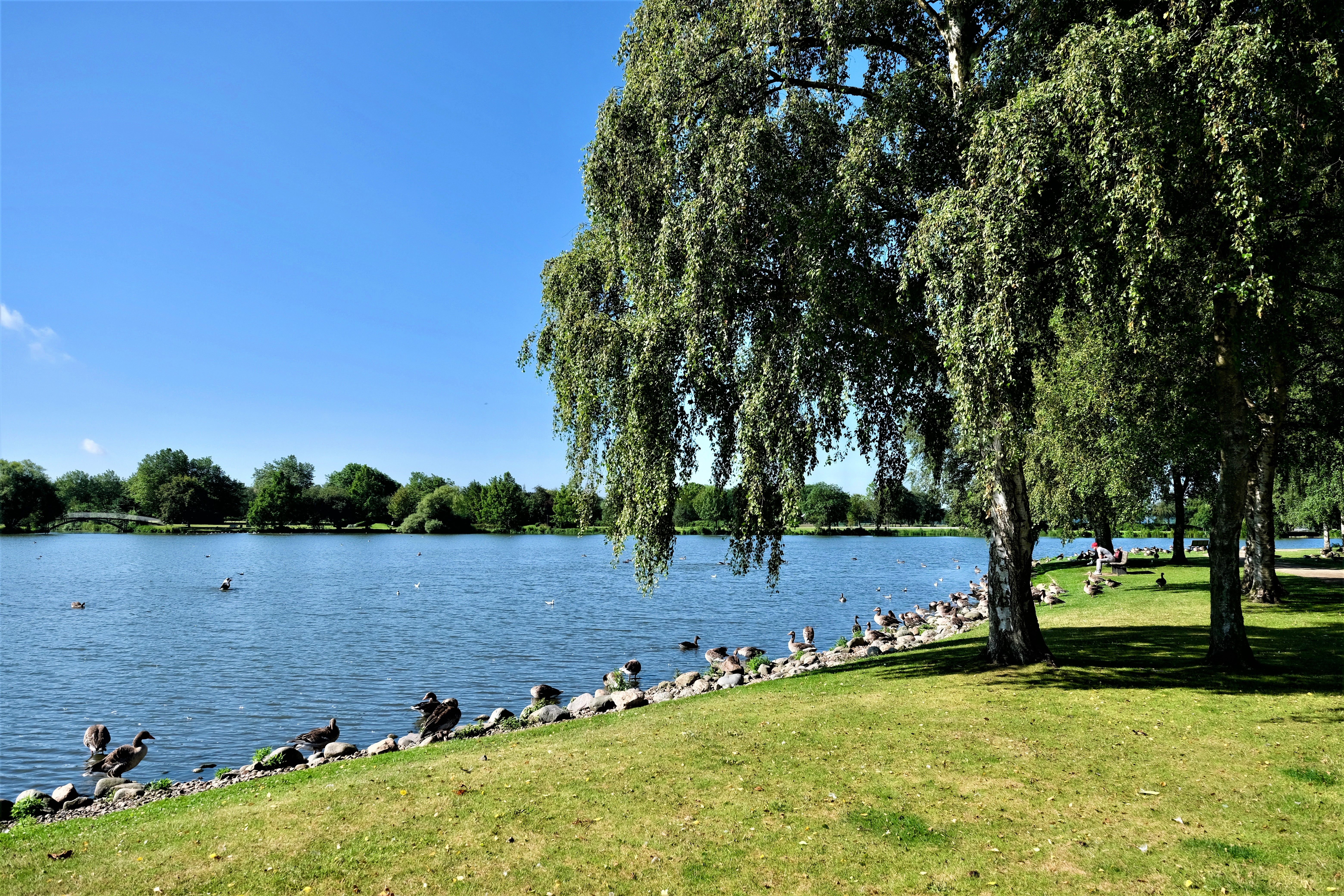 Omgeving