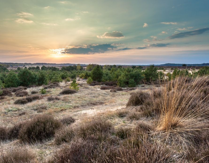 Wat te doen tijdens een overnachting op de Veluwe?