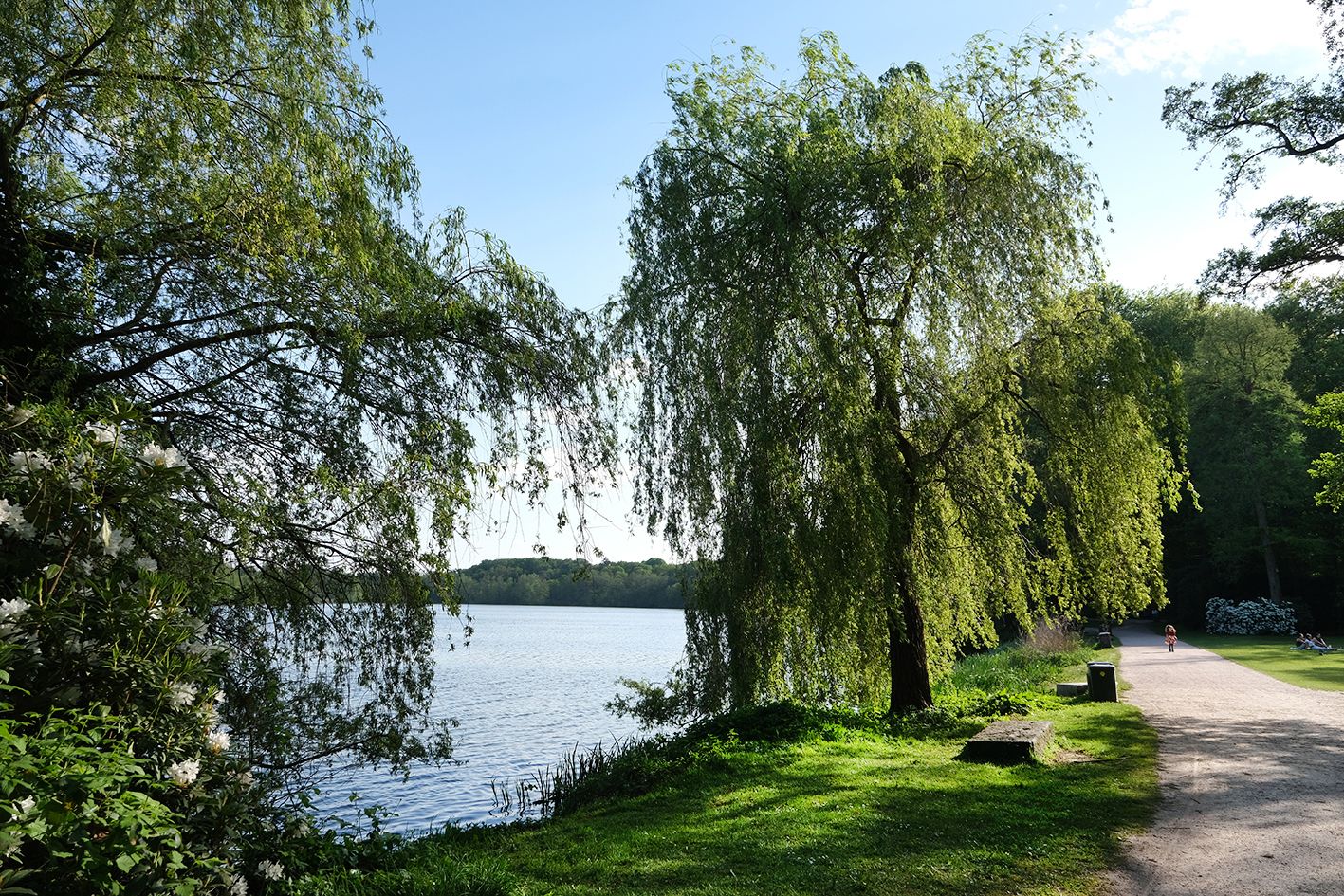 Omgeving