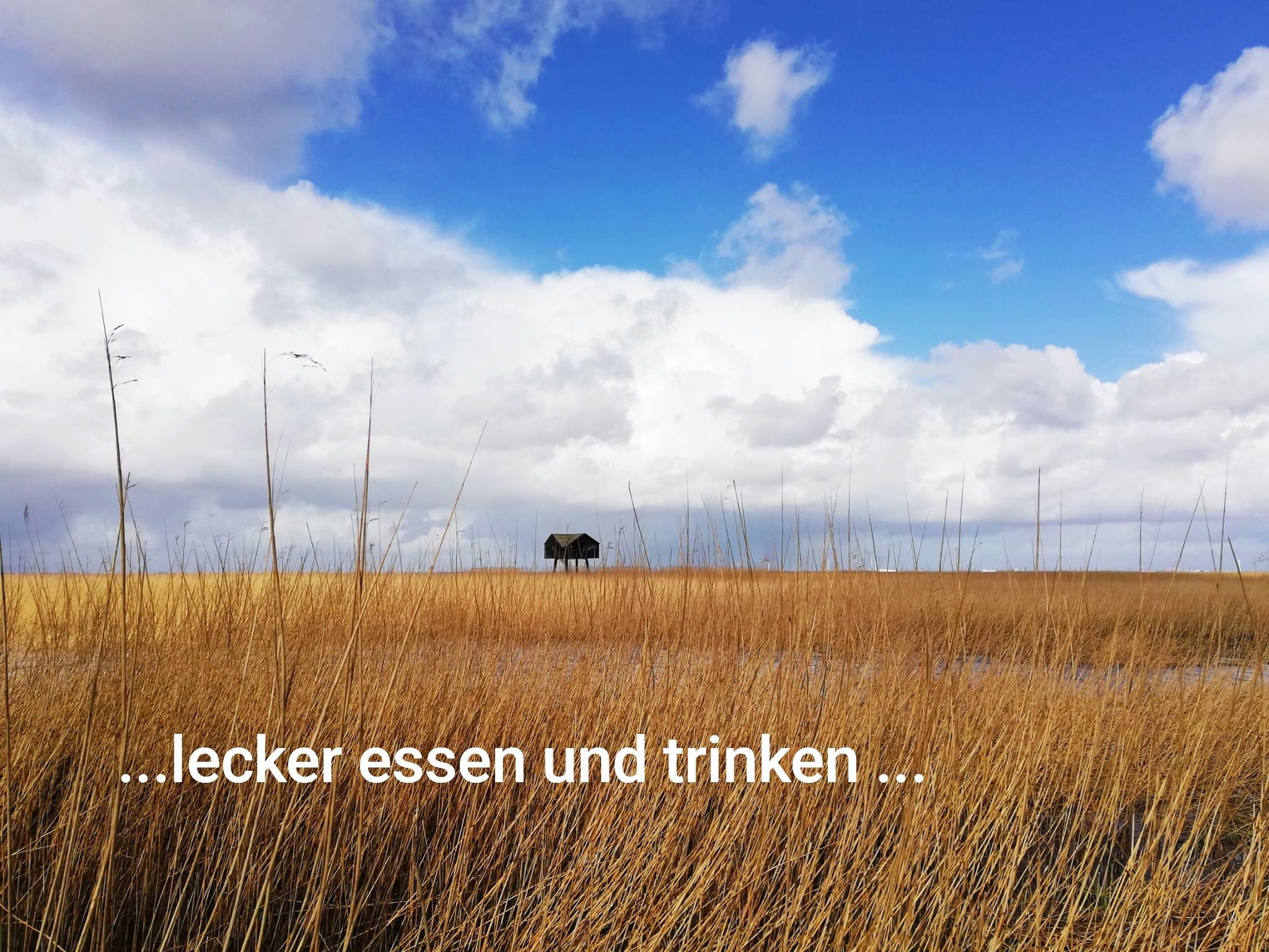 Omgeving