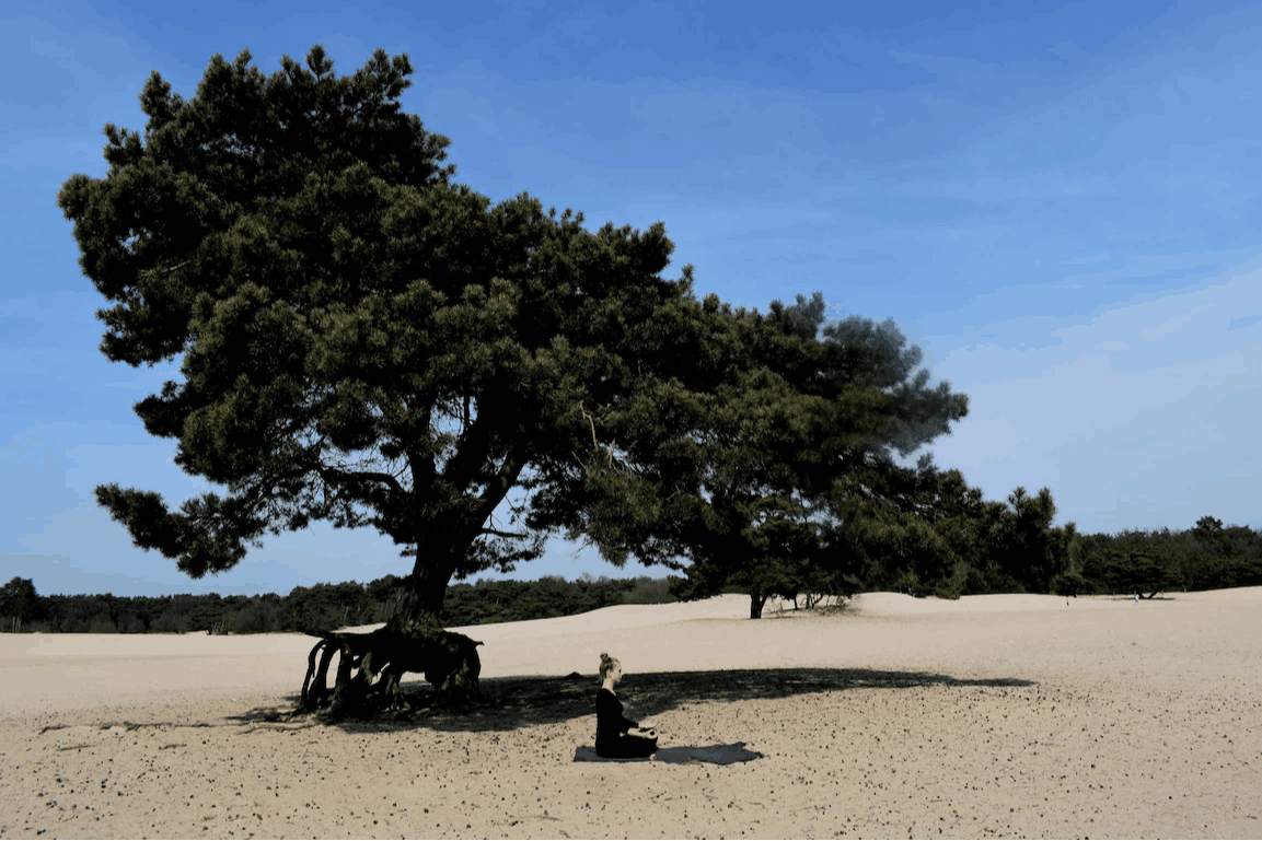 Omgeving