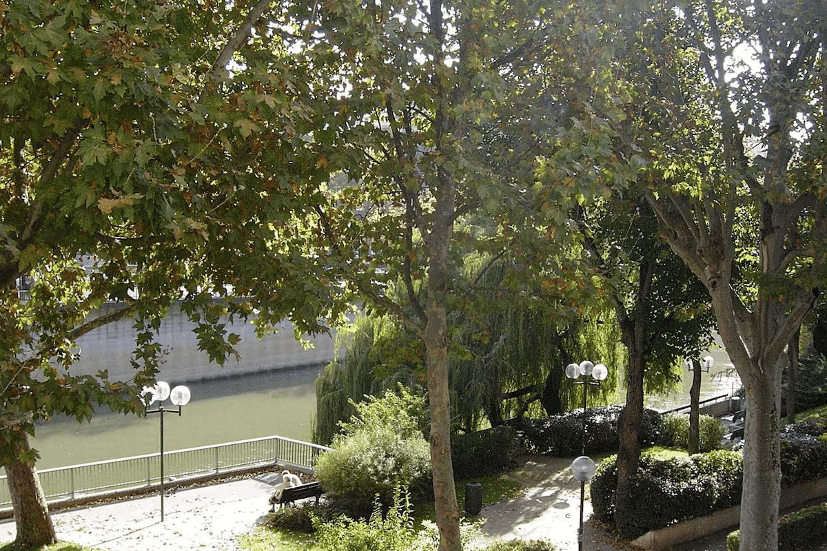 Omgeving
