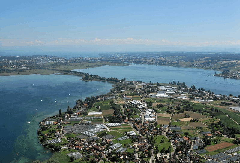 Omgeving