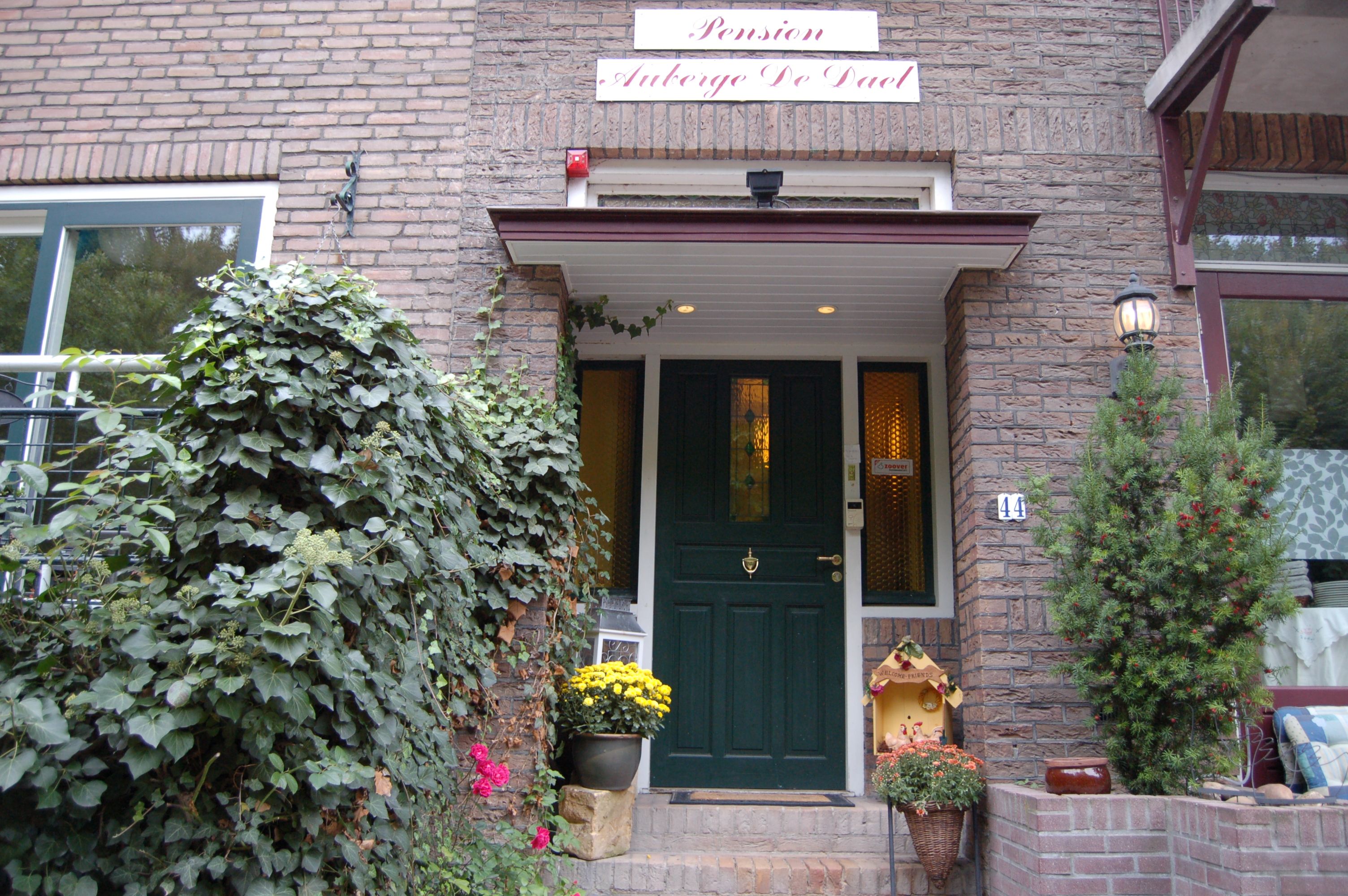 Top Bed And Breakfasts In Nederland