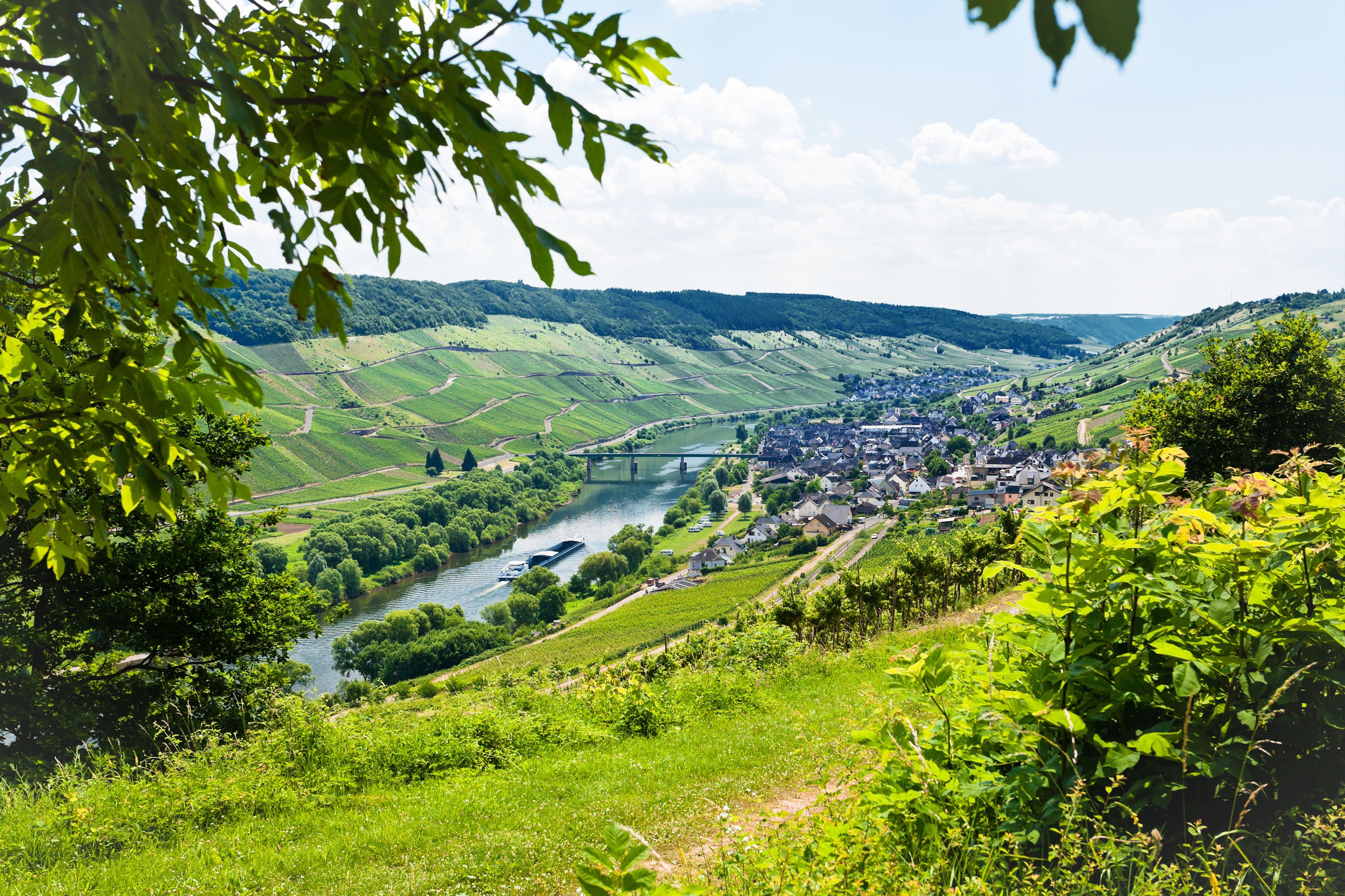 Omgeving