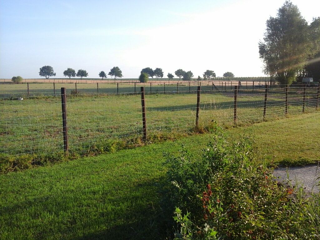 Omgeving