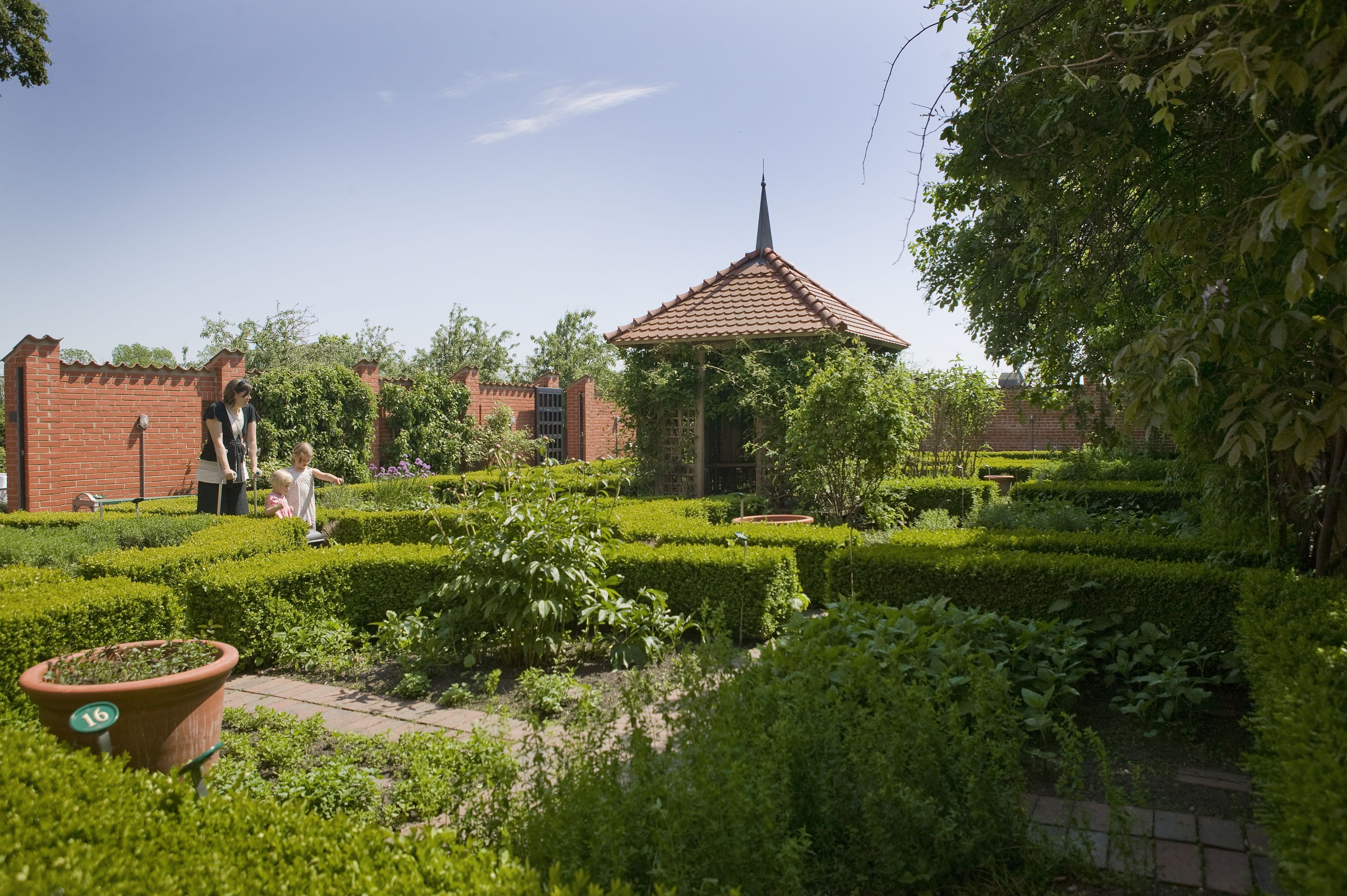 Omgeving