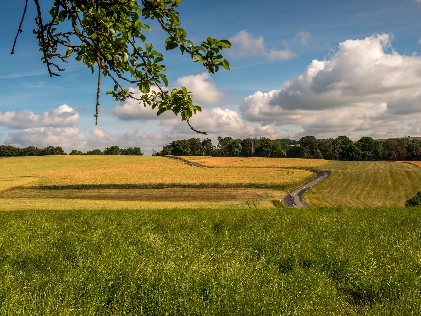 Omgeving