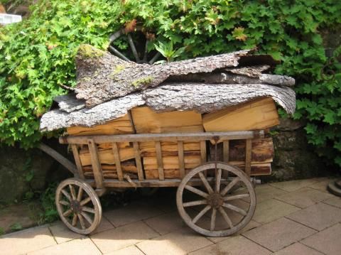 Omgeving