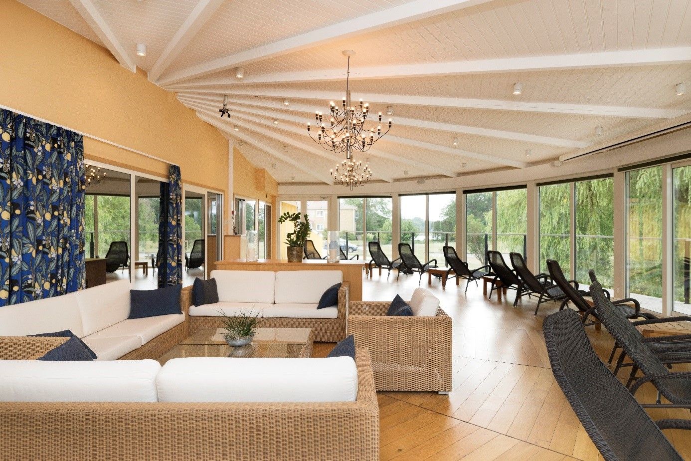 Wellness