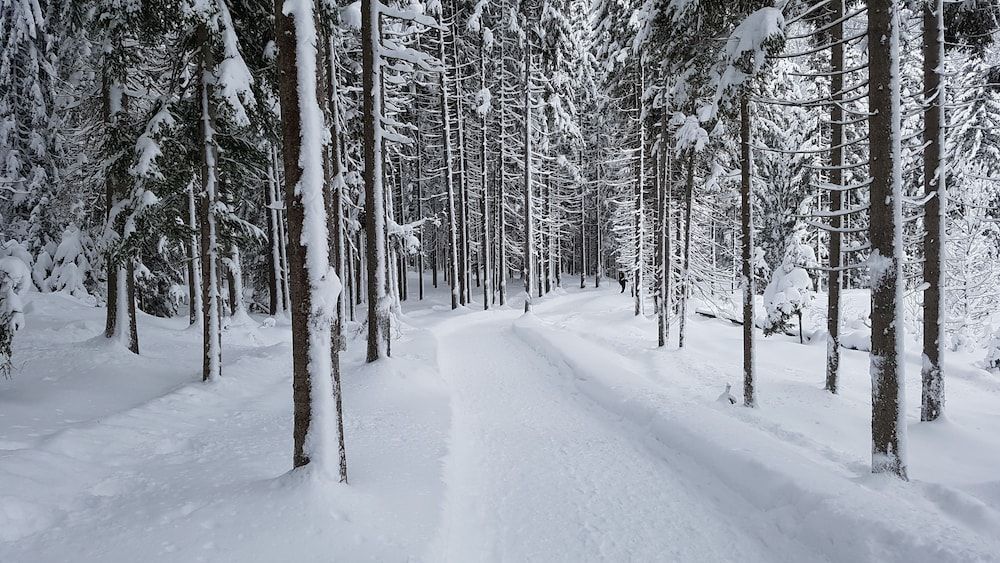 Algemeen