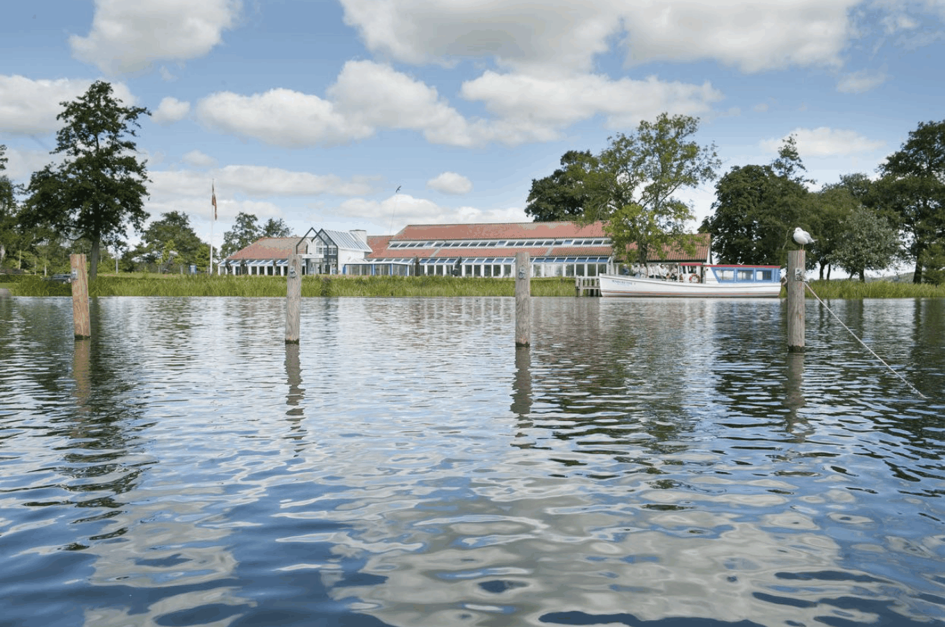 Omgeving