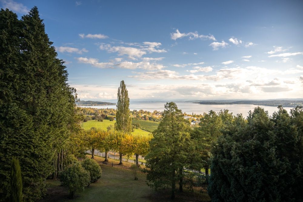 Algemeen