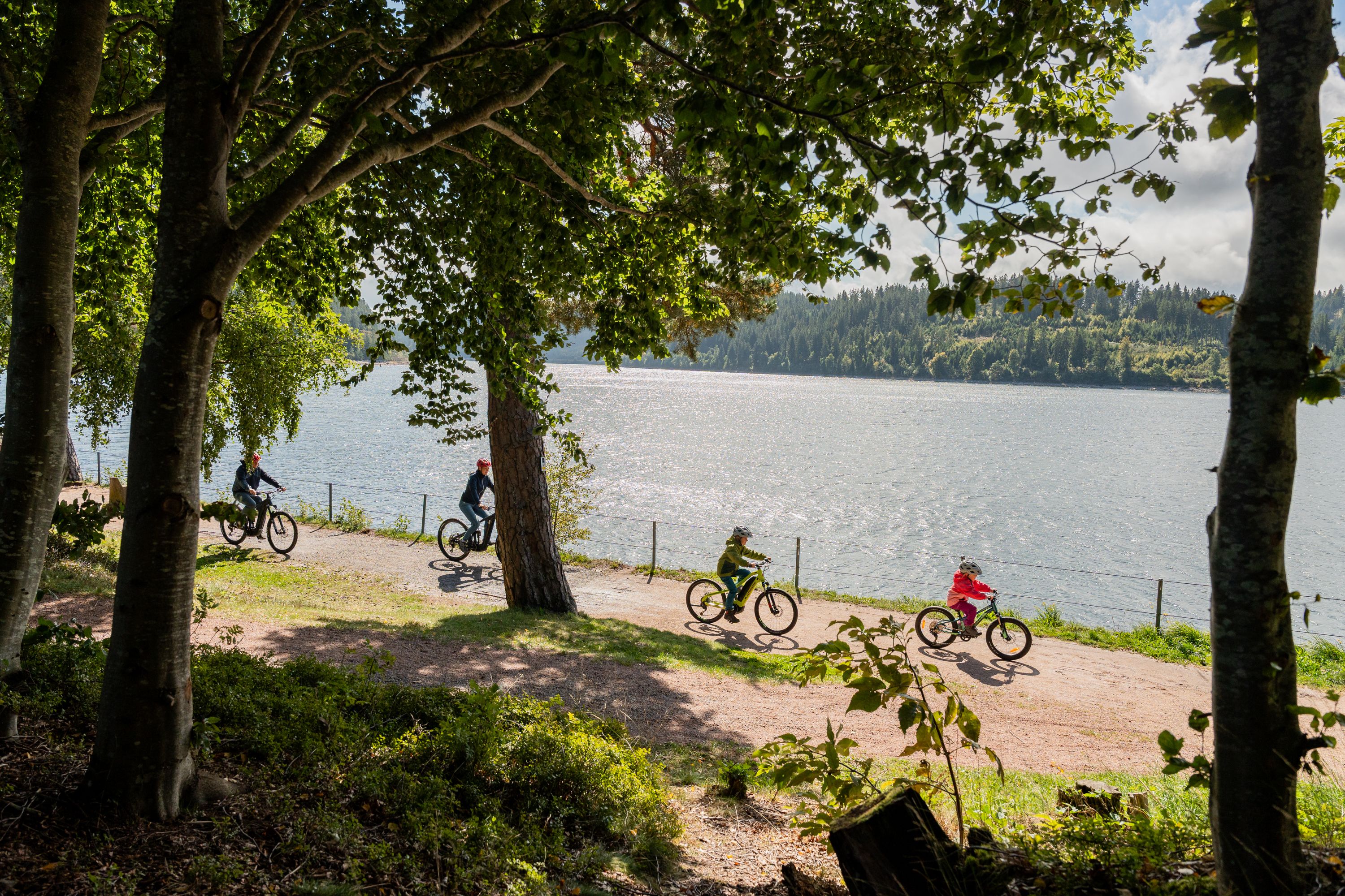 Omgeving