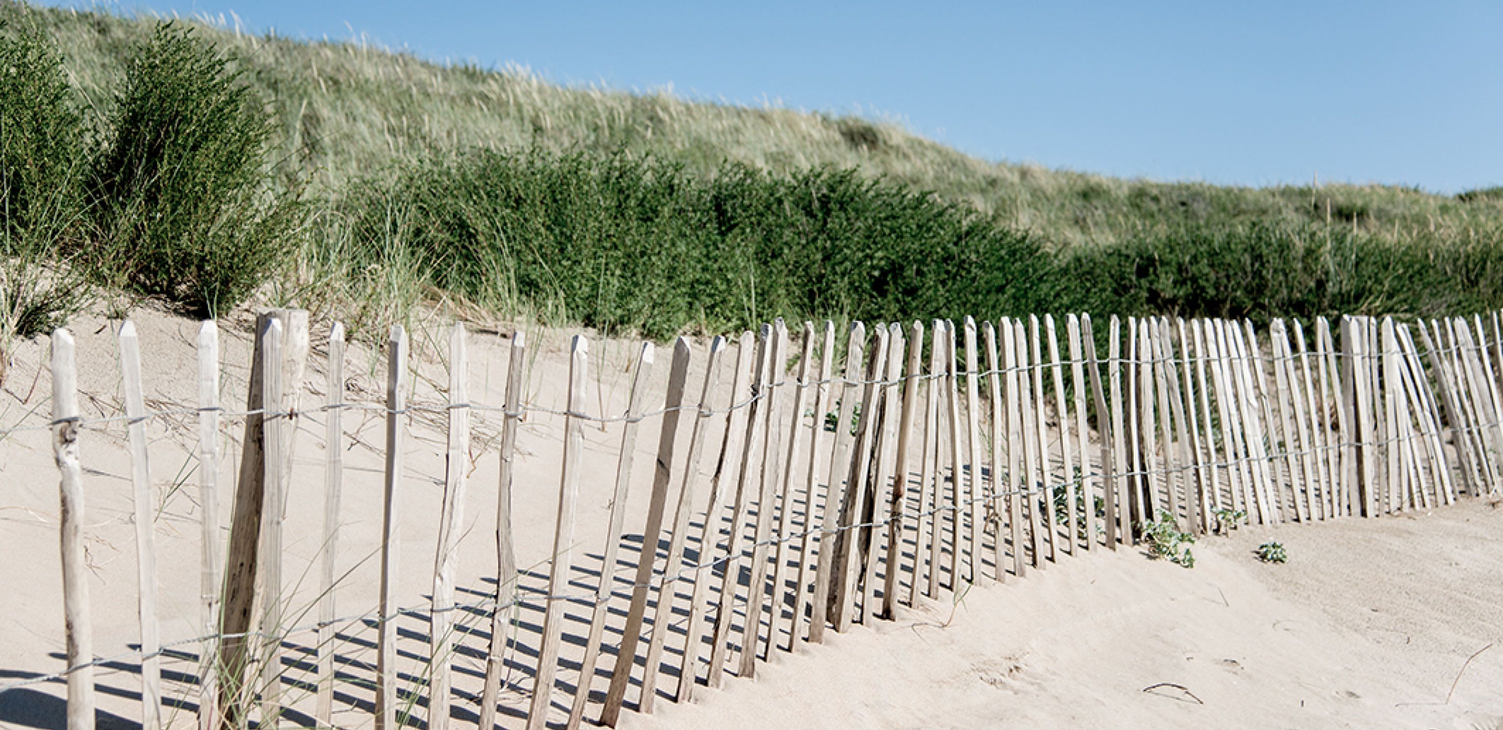 Omgeving