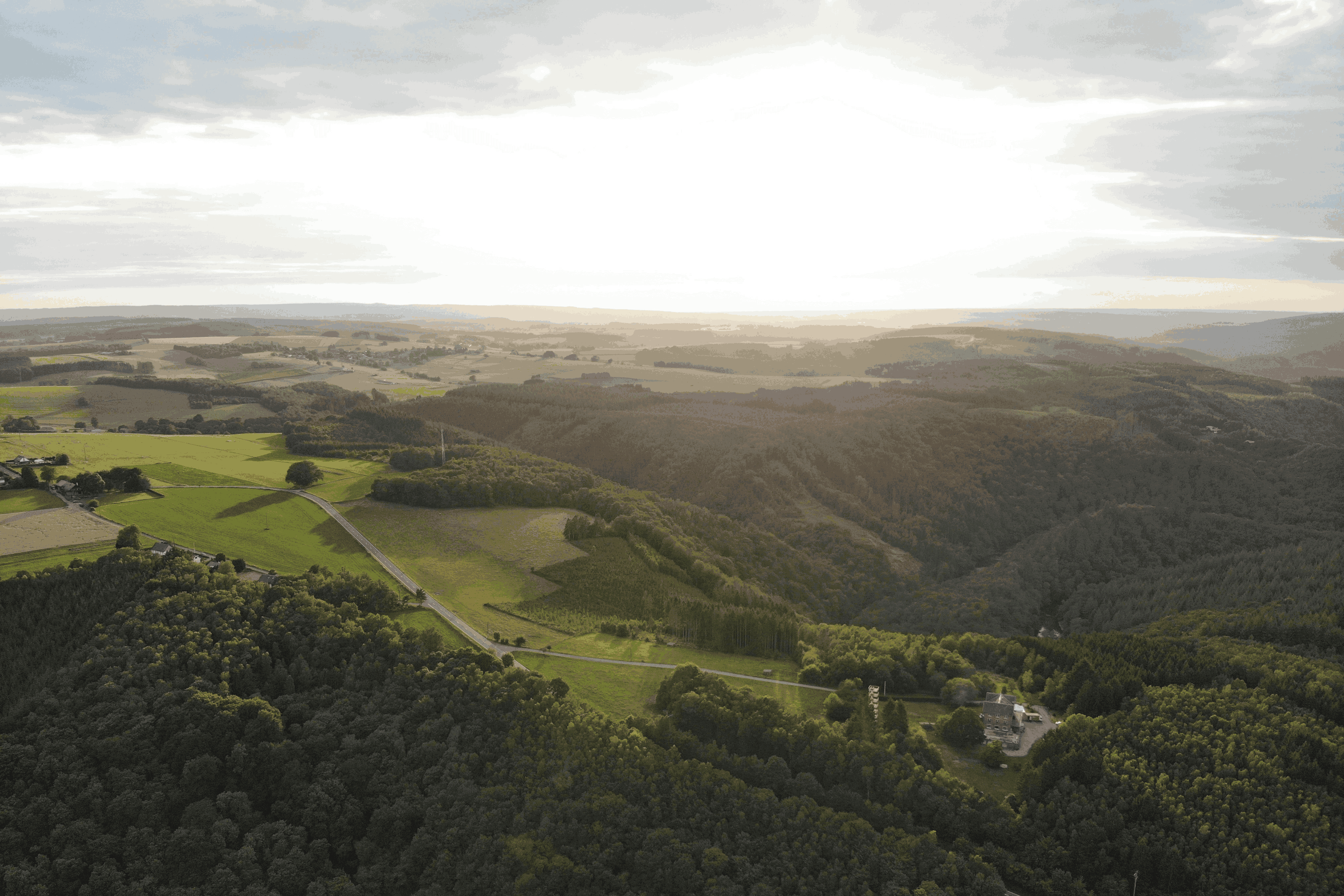 Omgeving