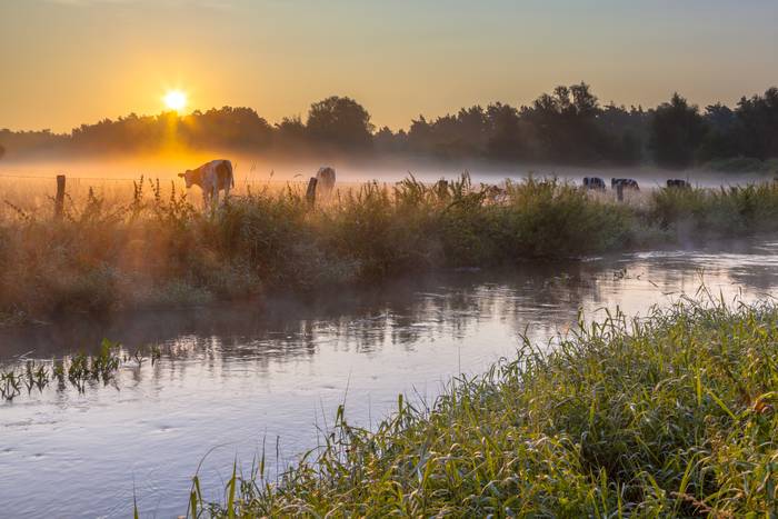 Hotels in Twente