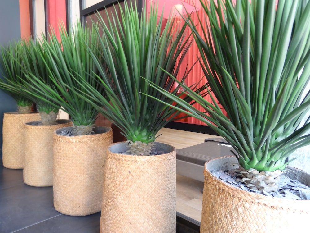 Algemeen
