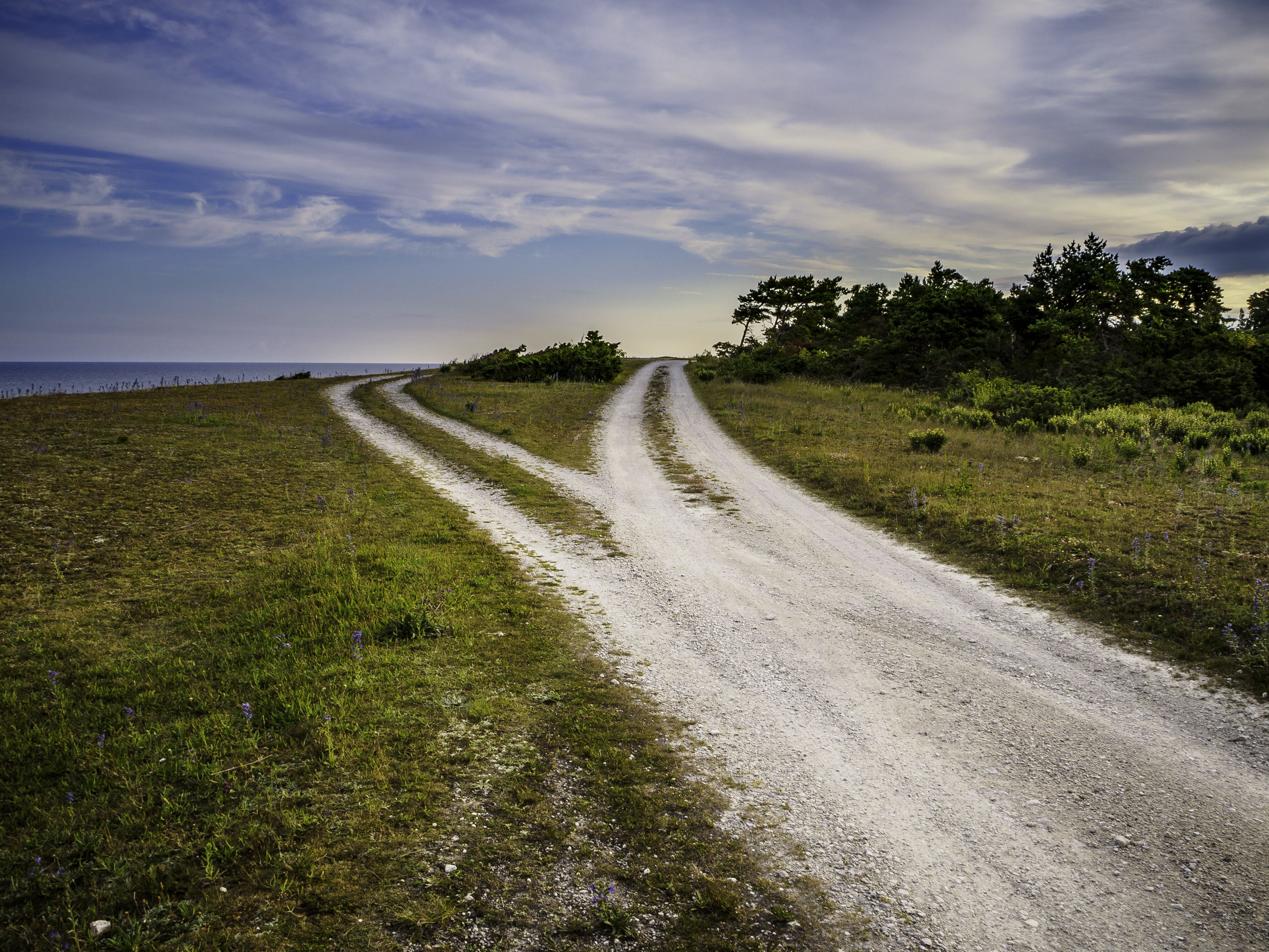 Omgeving