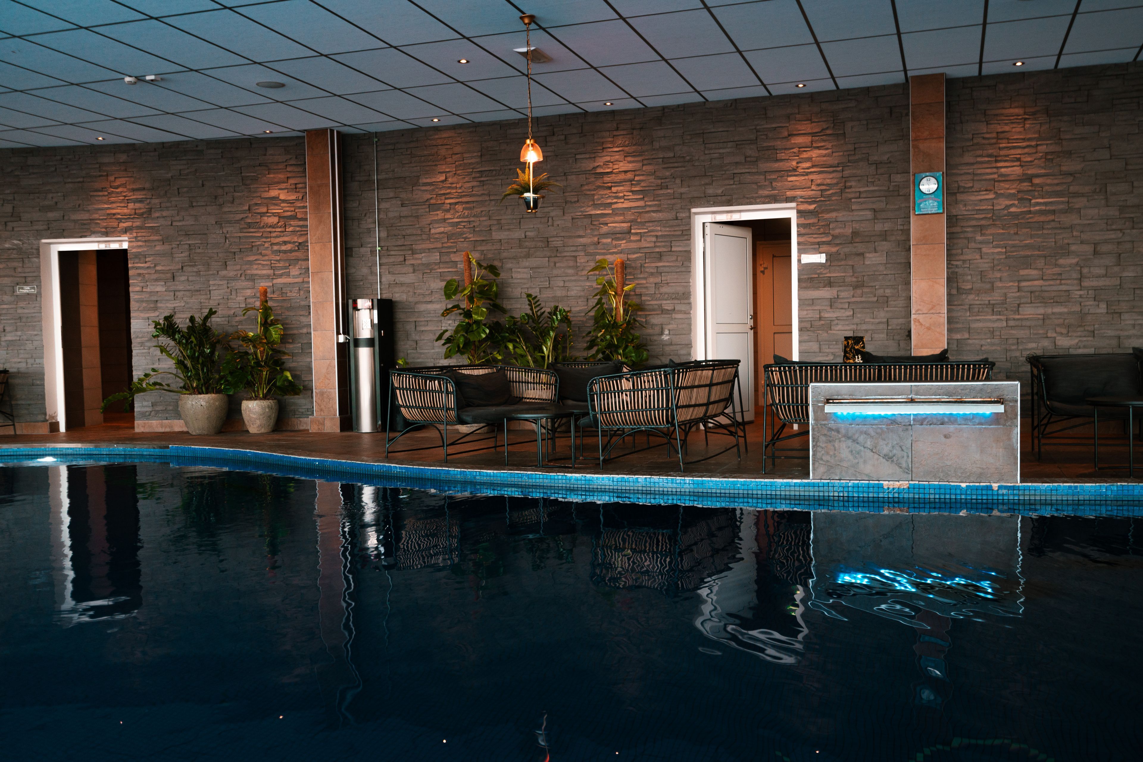 Wellness
