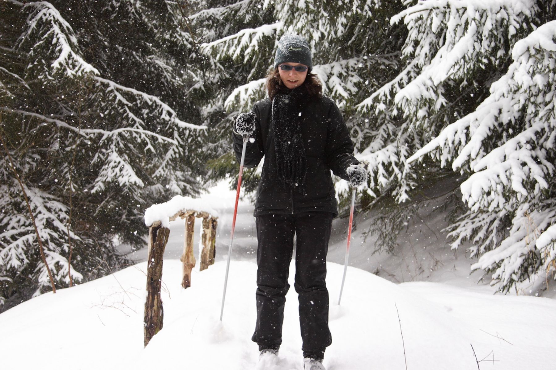 Skigebied
