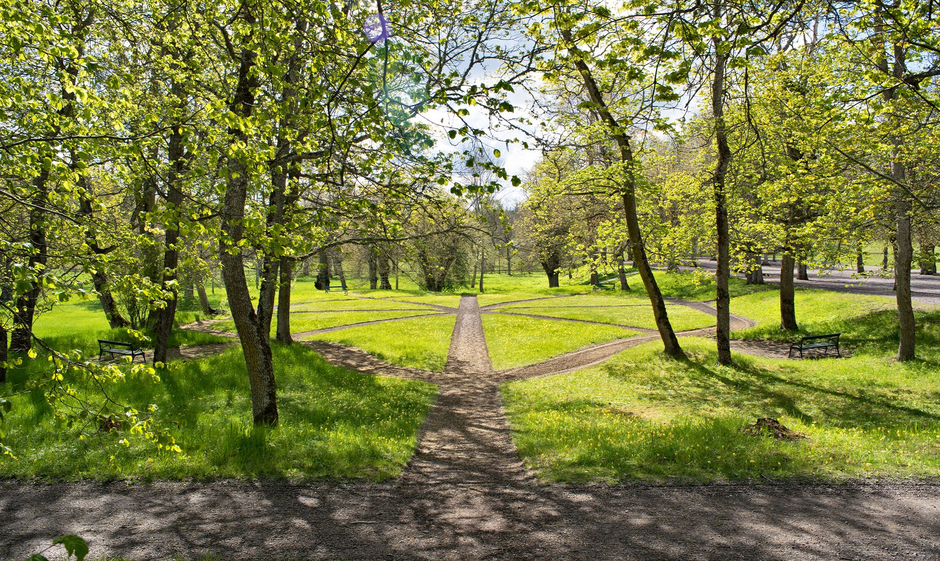 Omgeving