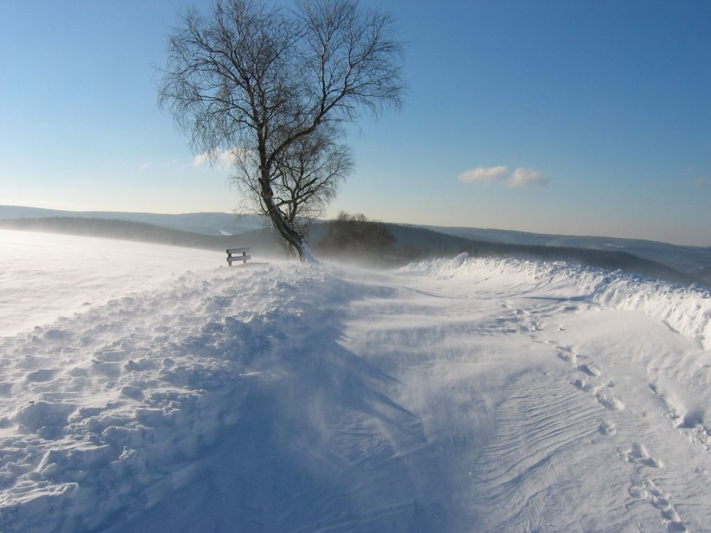 Omgeving