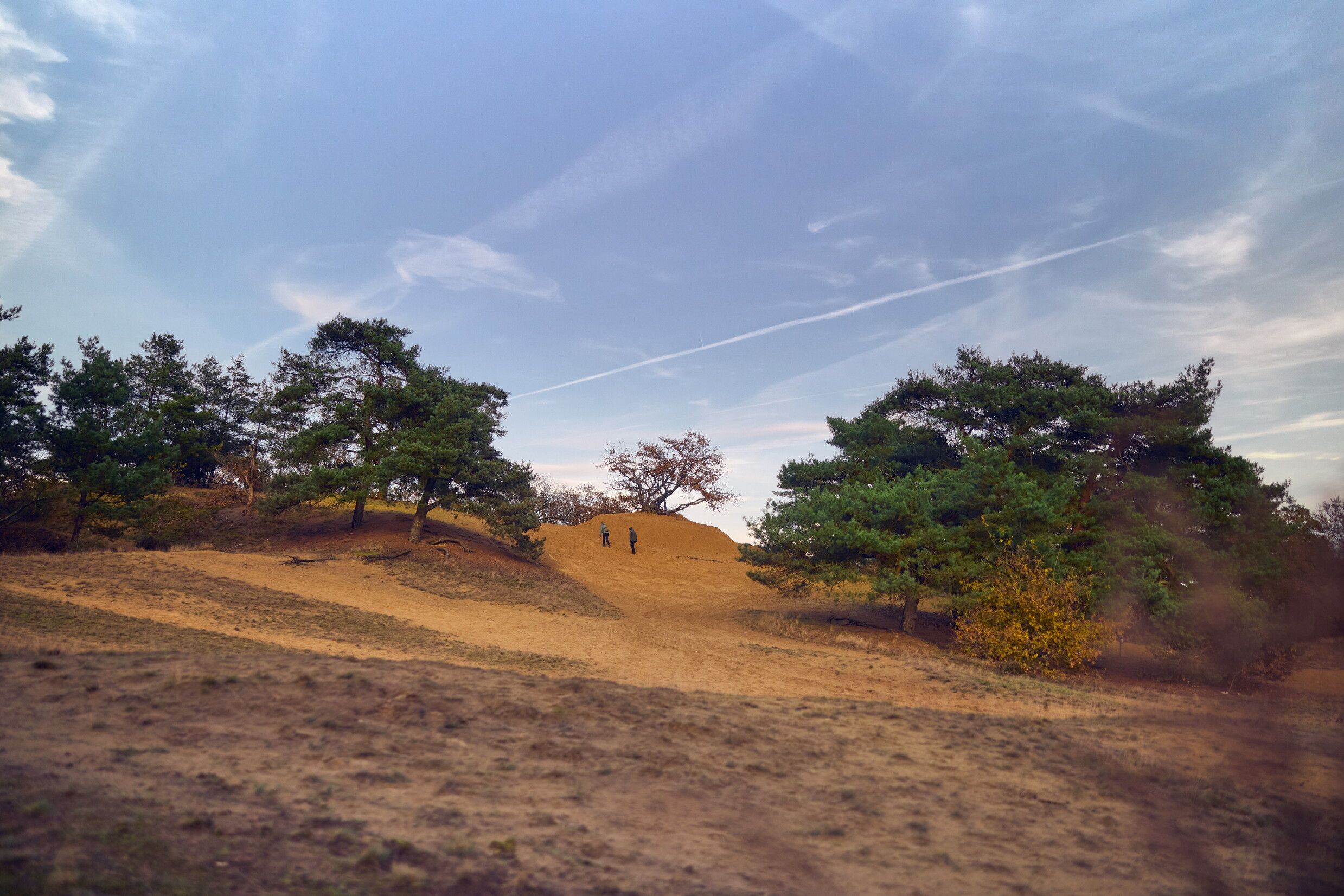 Omgeving