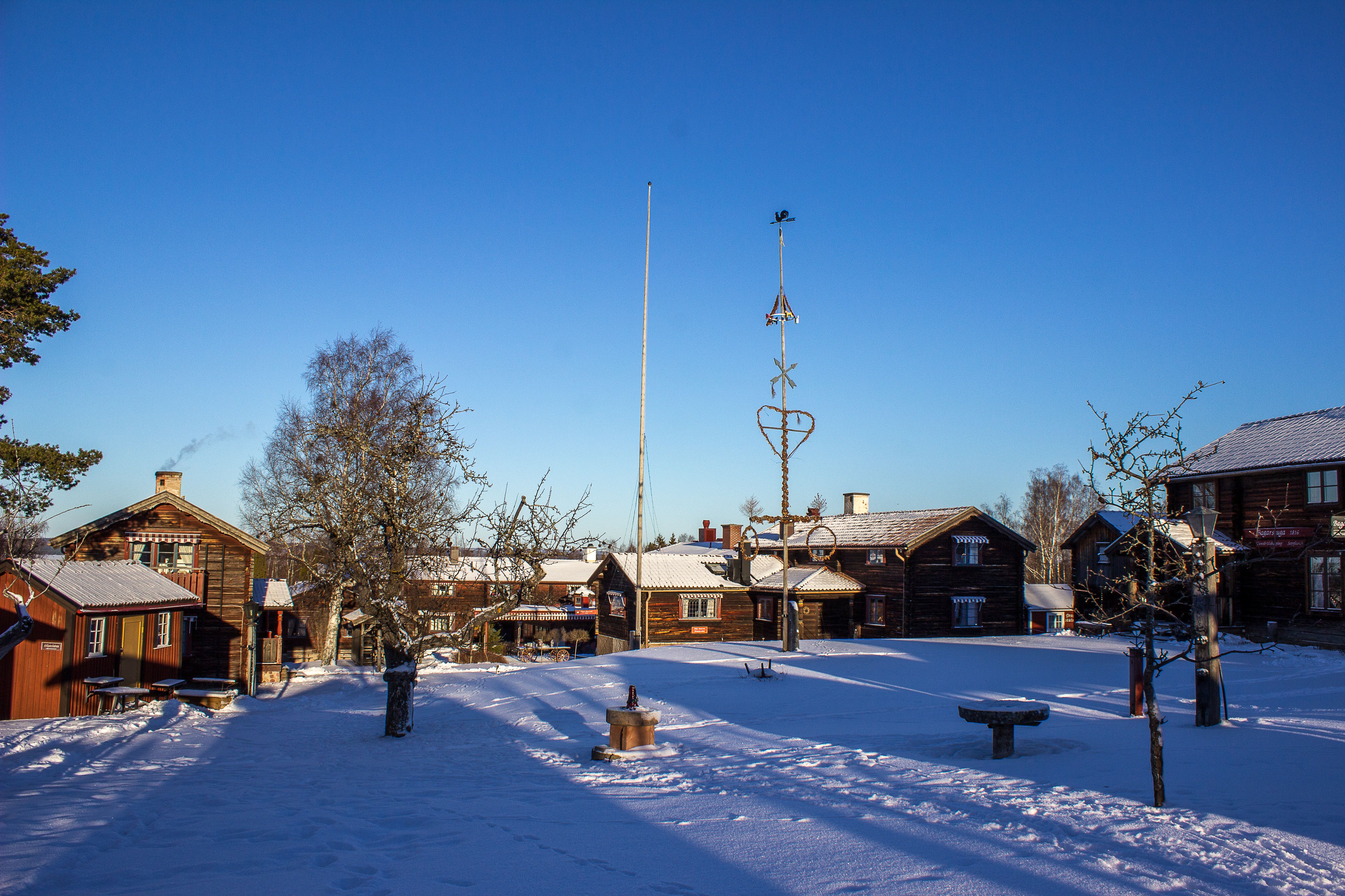 Omgeving