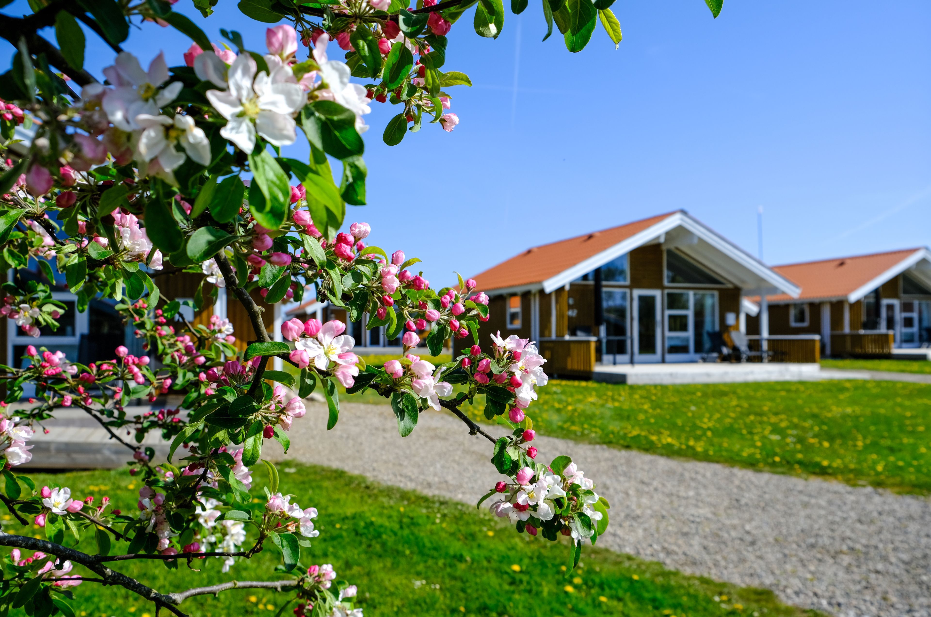 accommodatie