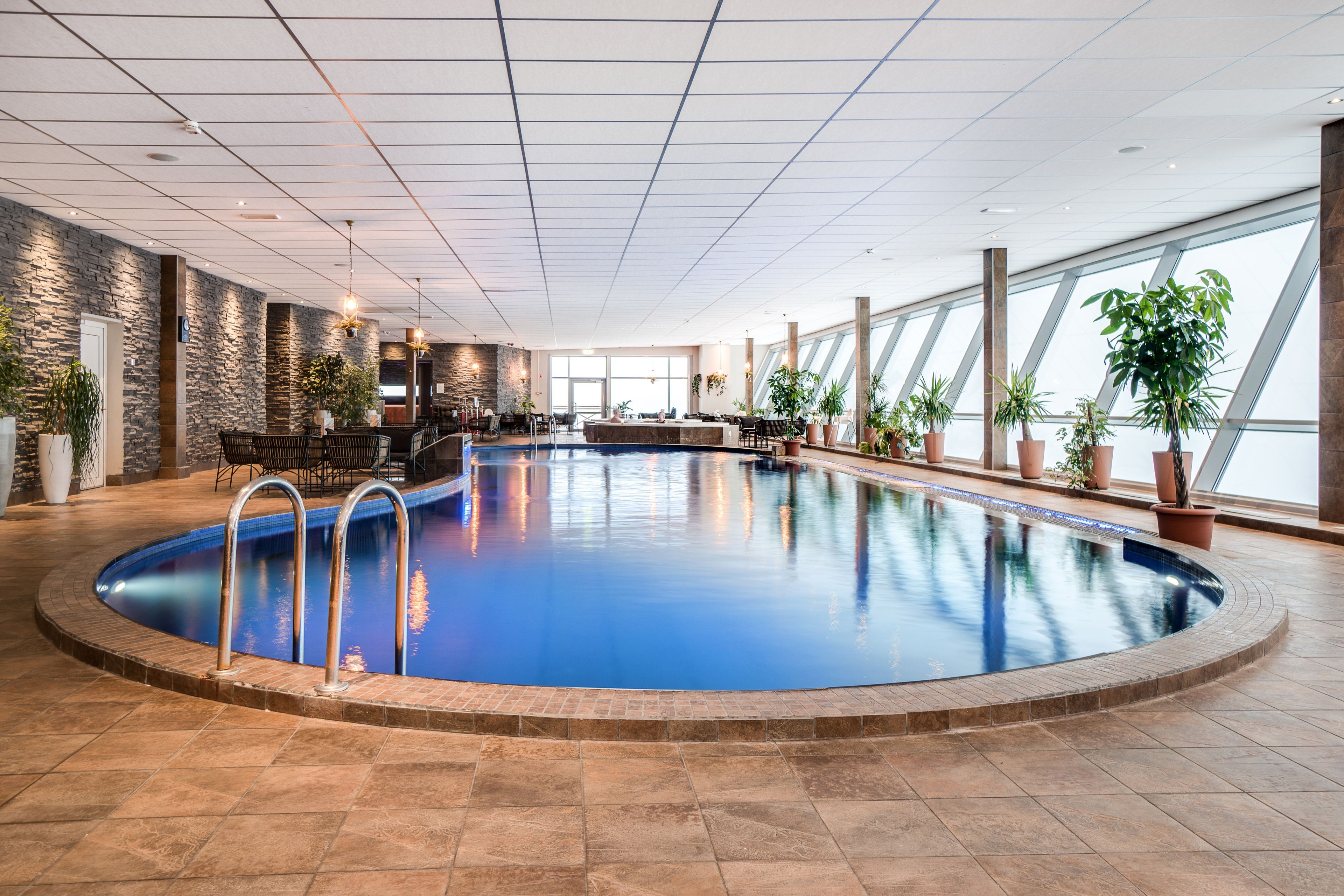Wellness