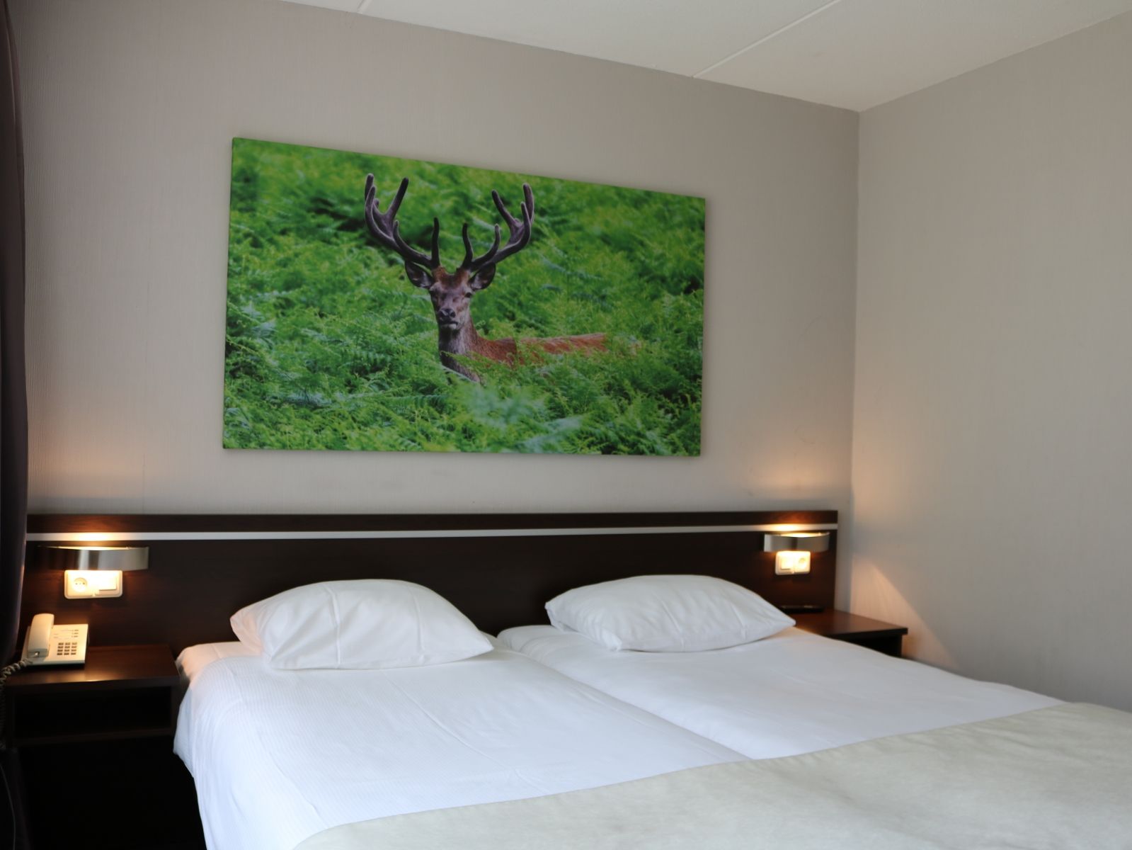 Kamer