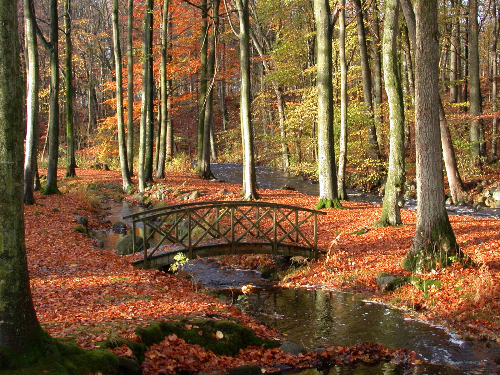 Omgeving