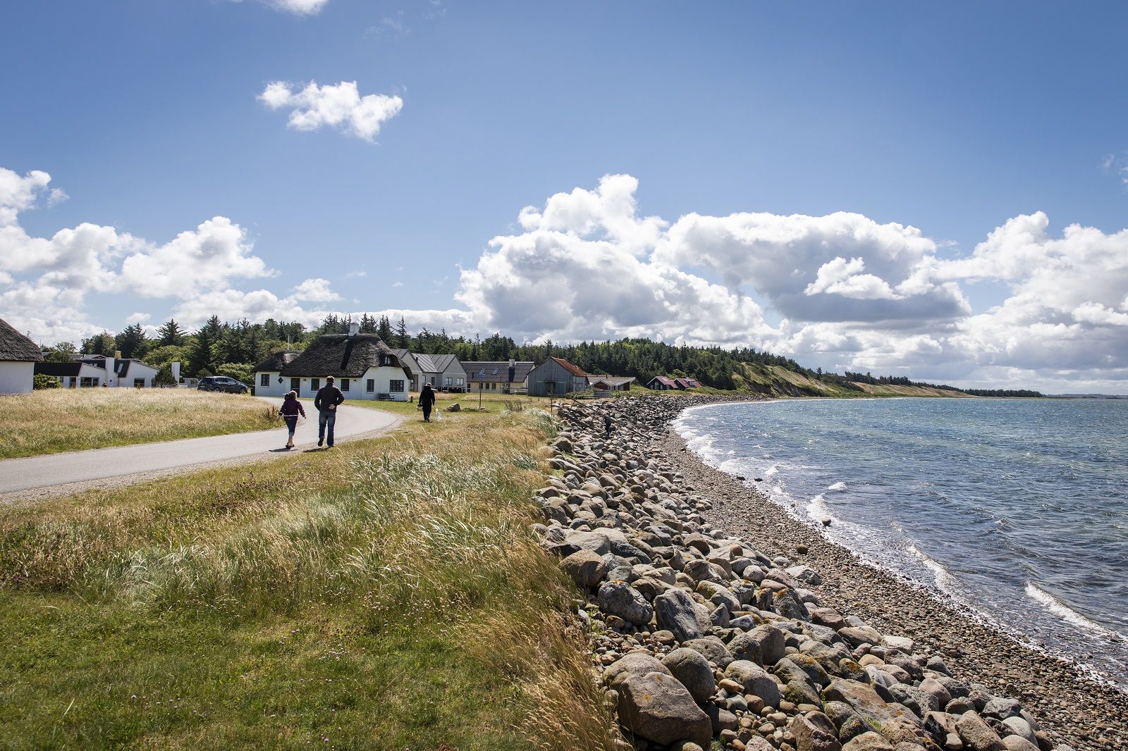Omgeving