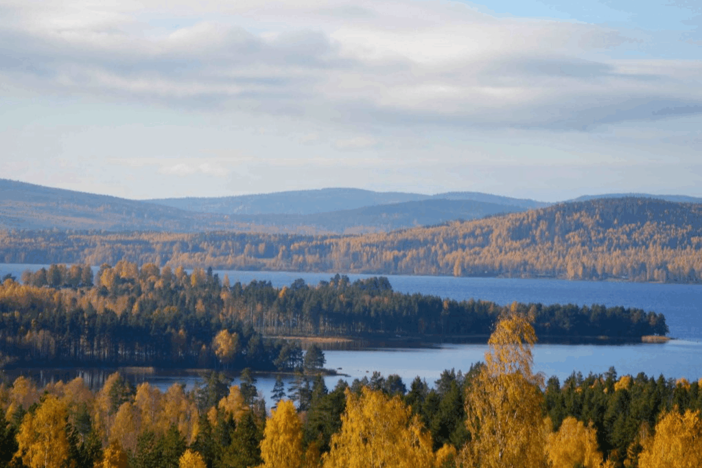 Omgeving
