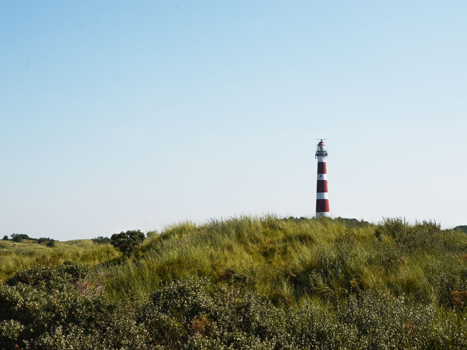 Omgeving