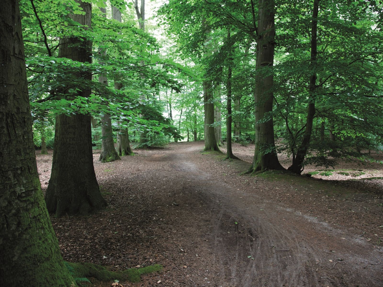 Omgeving