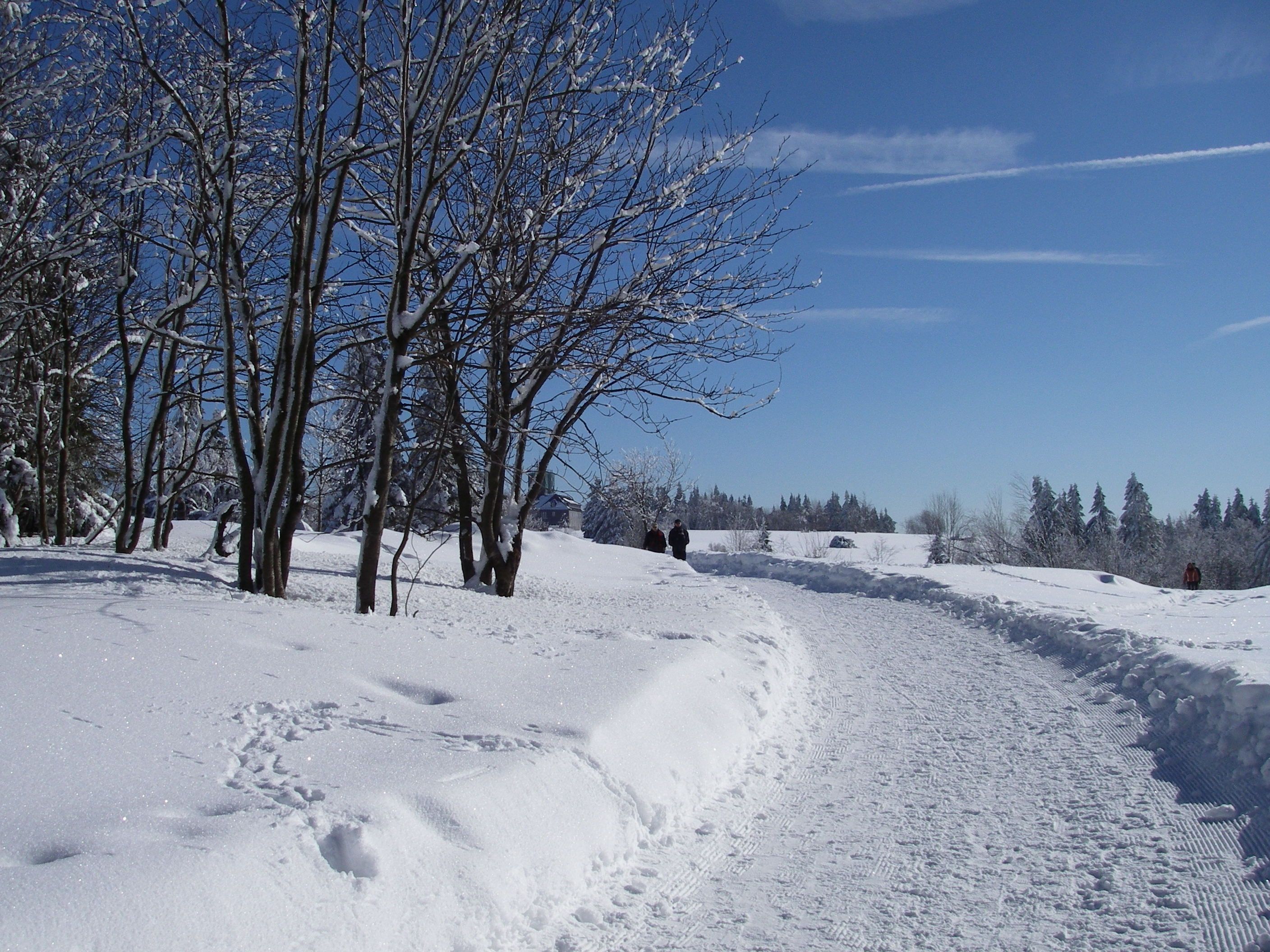 Omgeving