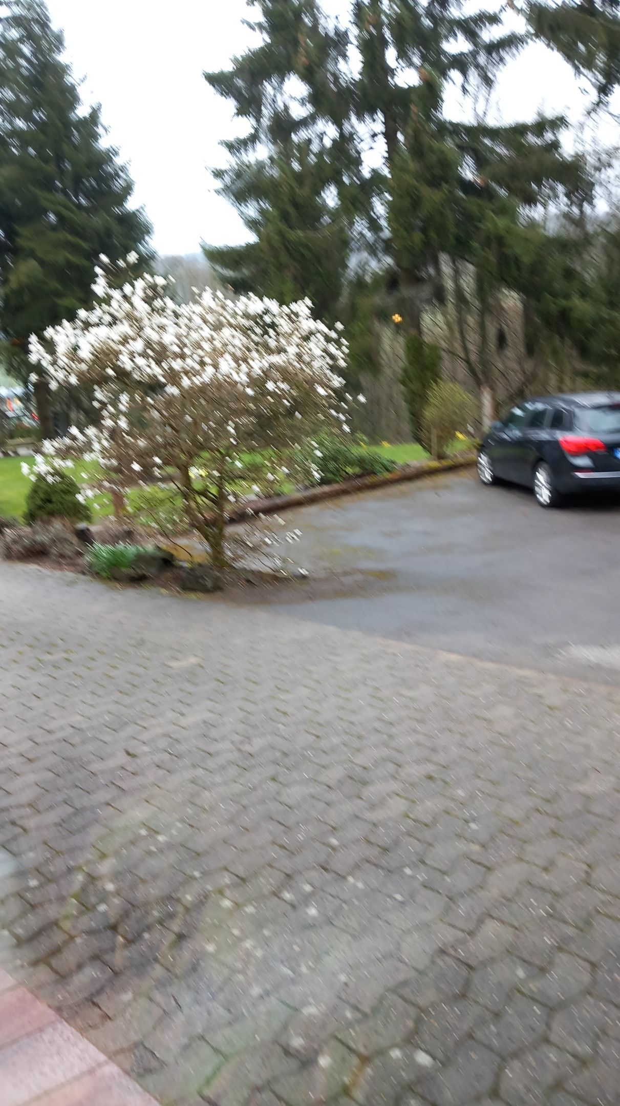Faciliteiten