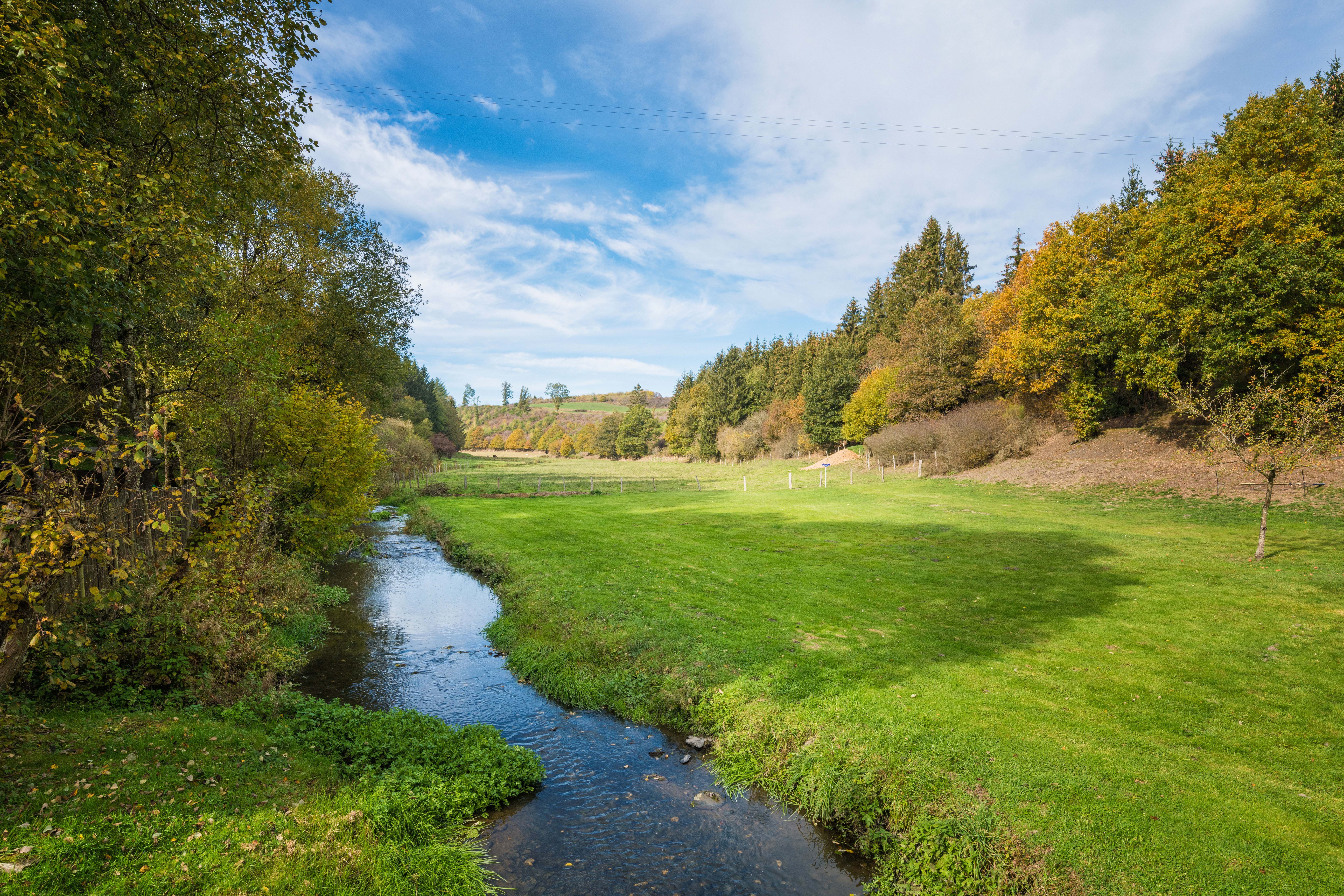 Omgeving