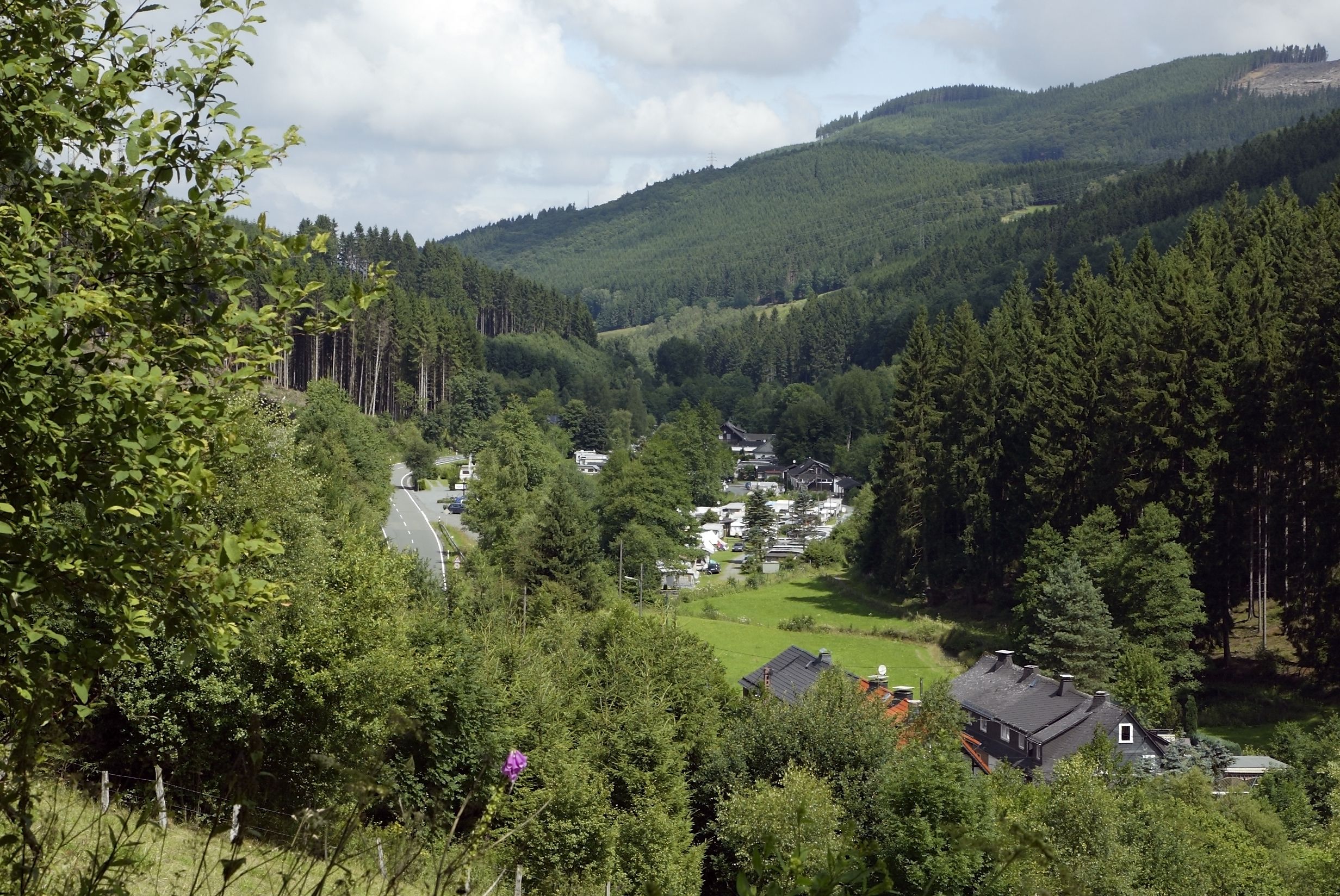 Omgeving