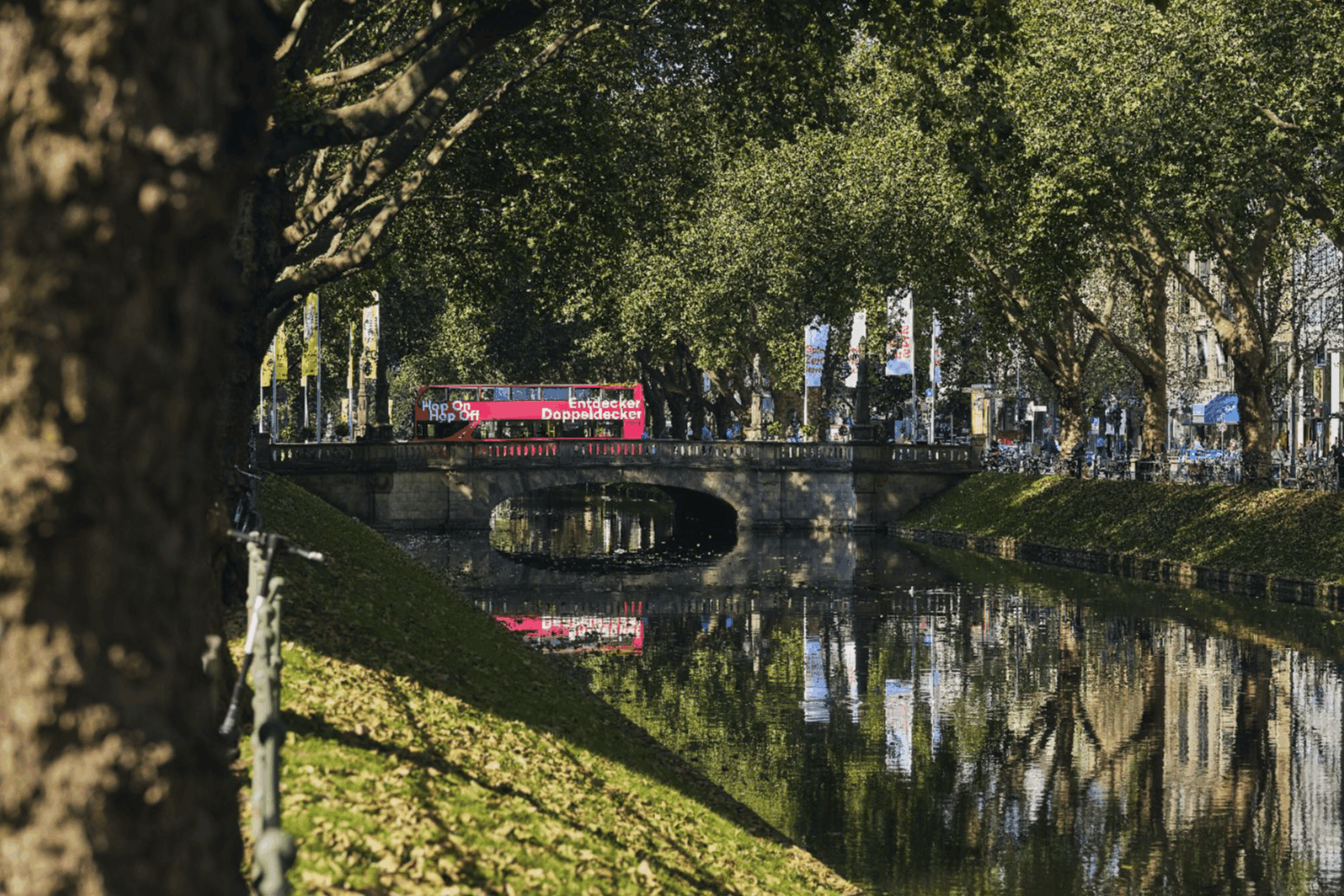 Omgeving