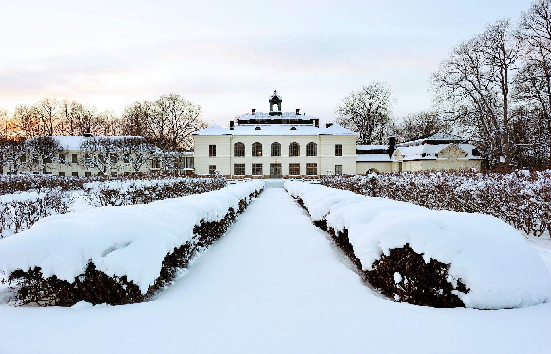 Omgeving
